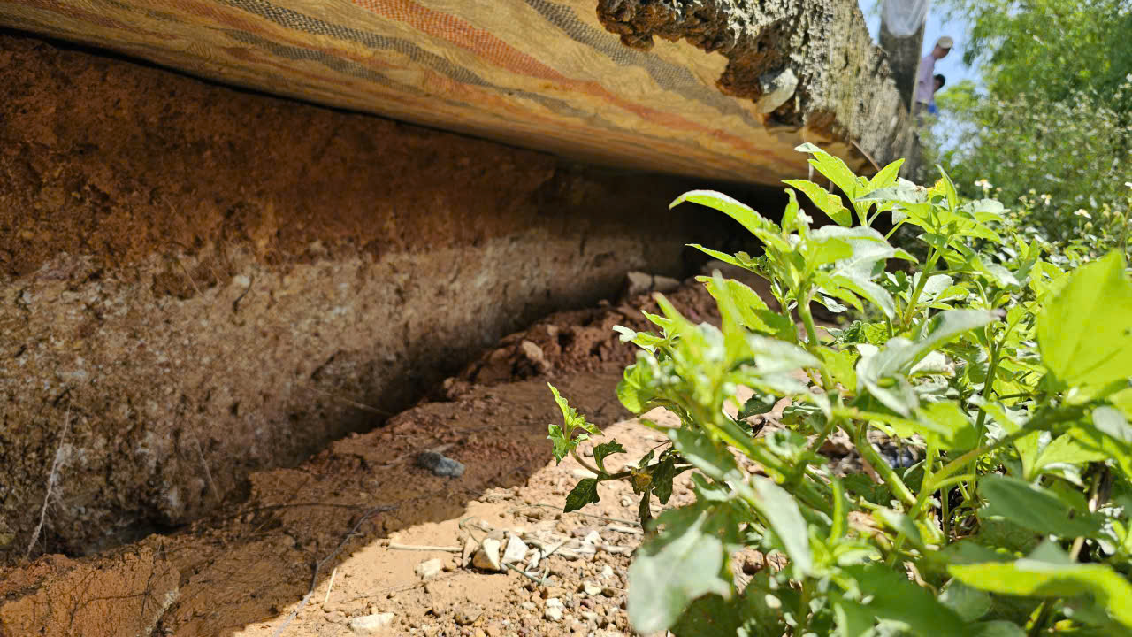 Huế: Bờ s&ocirc;ng Bồ sạt lở ăn s&acirc;u v&agrave;o tuyến đường b&ecirc; t&ocirc;ng, người d&acirc;n thấp thỏm lo sợ- Ảnh 13.