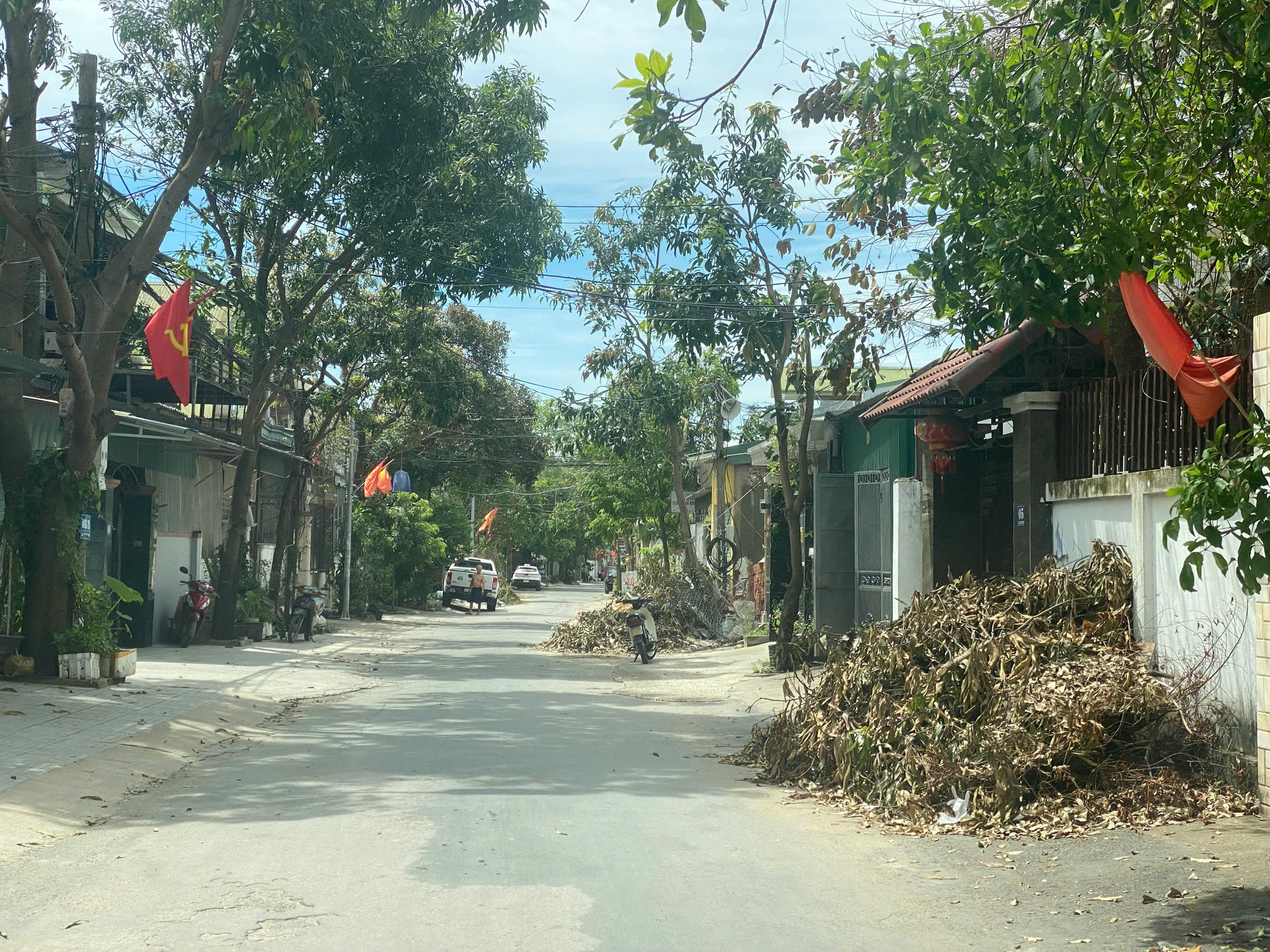 Nghệ An: Hơn 10 ngày sau bão số 5, cây xanh gãy đổ vẫn ngổn ngang đường phố Vinh- Ảnh 3. Nghệ An: Hơn 10 ngày sau bão số 5, cây xanh gãy đổ vẫn ngổn ngang đường phố Vinh- Ảnh 3.