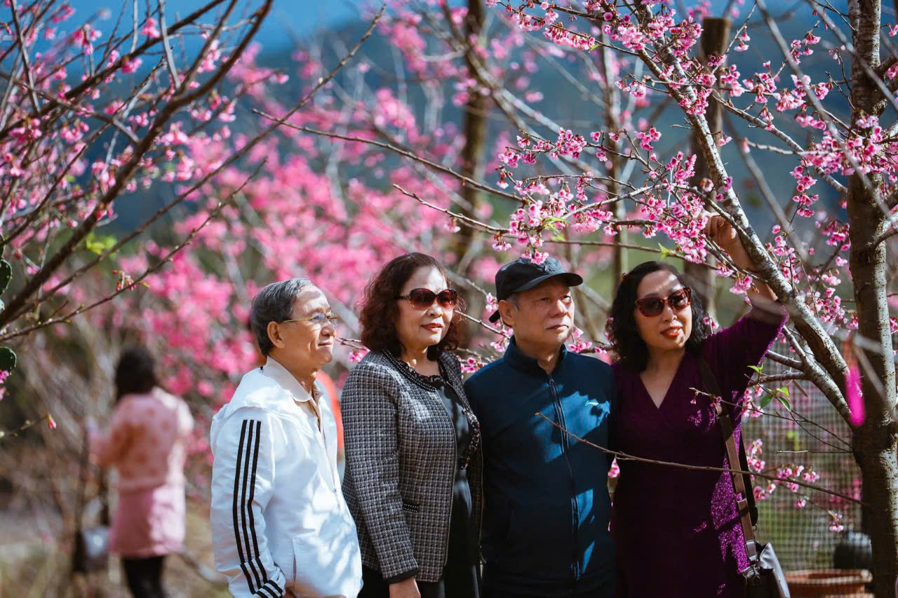 Đến Măng Đen ngắm hoa anh đào đón năm mới- Ảnh 2. Đến Măng Đen ngắm hoa anh đào đón năm mới- Ảnh 2.