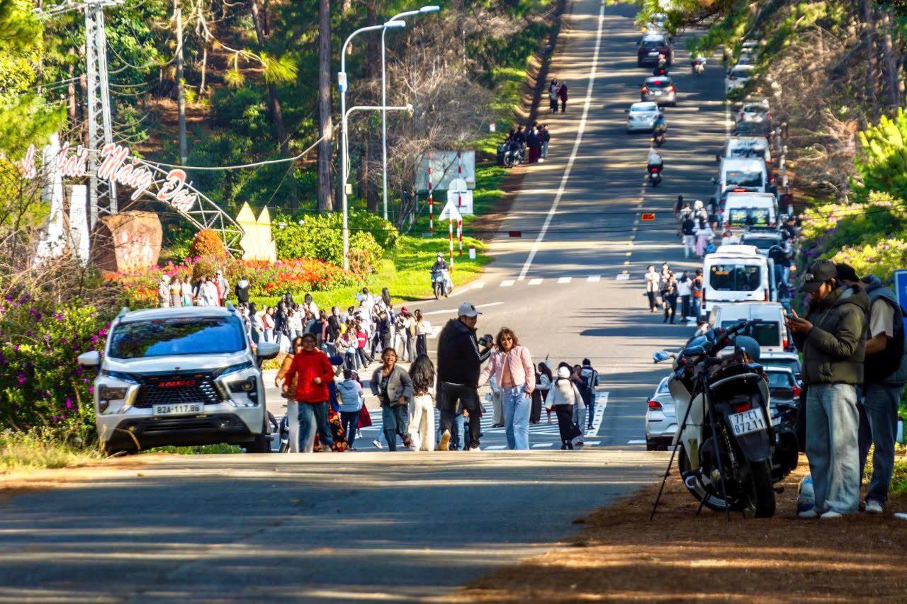 Đến Măng Đen ngắm hoa anh đào đón năm mới- Ảnh 4. Đến Măng Đen ngắm hoa anh đào đón năm mới- Ảnh 4.