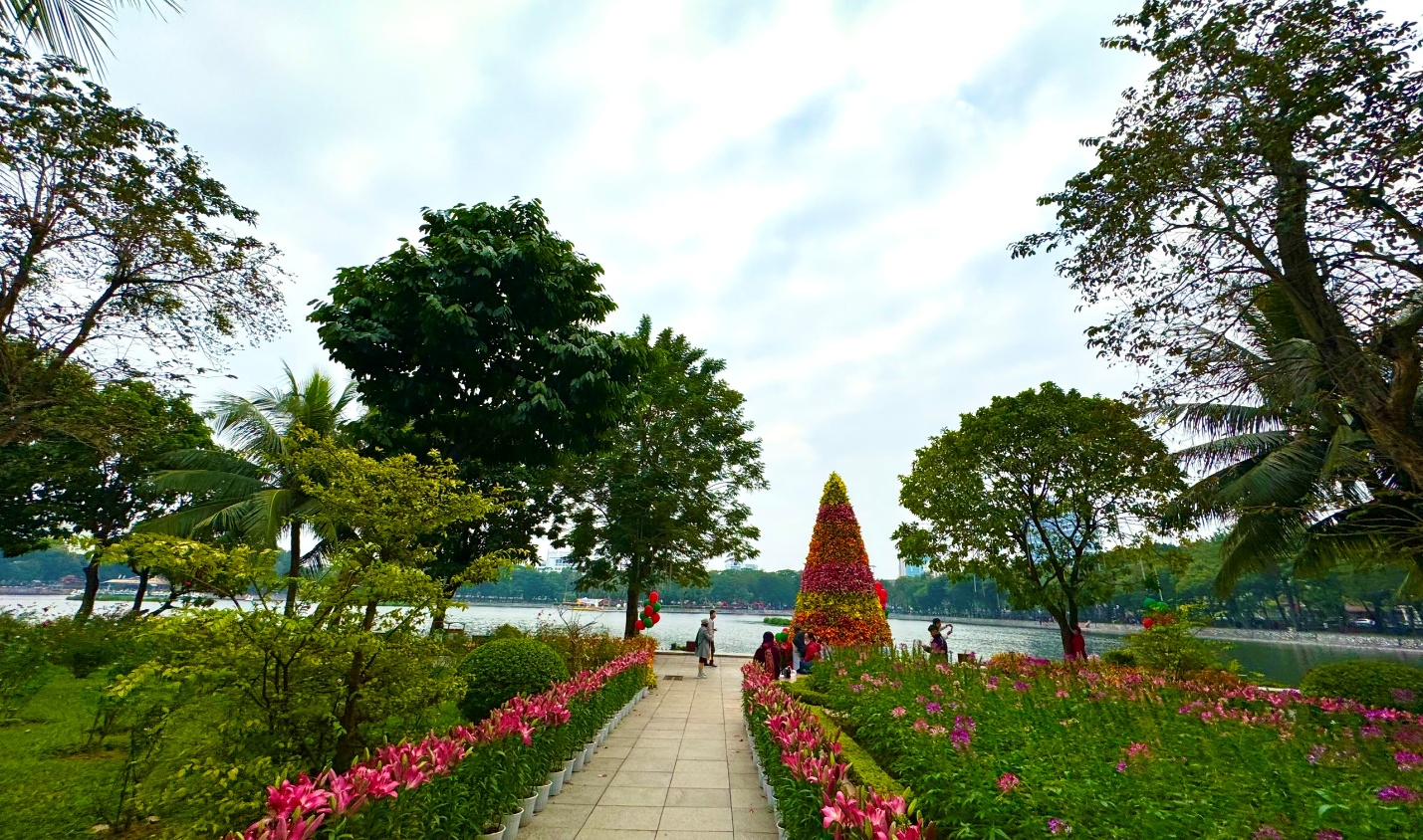 Ng&agrave;y 11/1 ch&iacute;nh thức được x&aacute;c lập l&agrave; Ng&agrave;y C&acirc;y xanh Việt Nam- Ảnh 1.