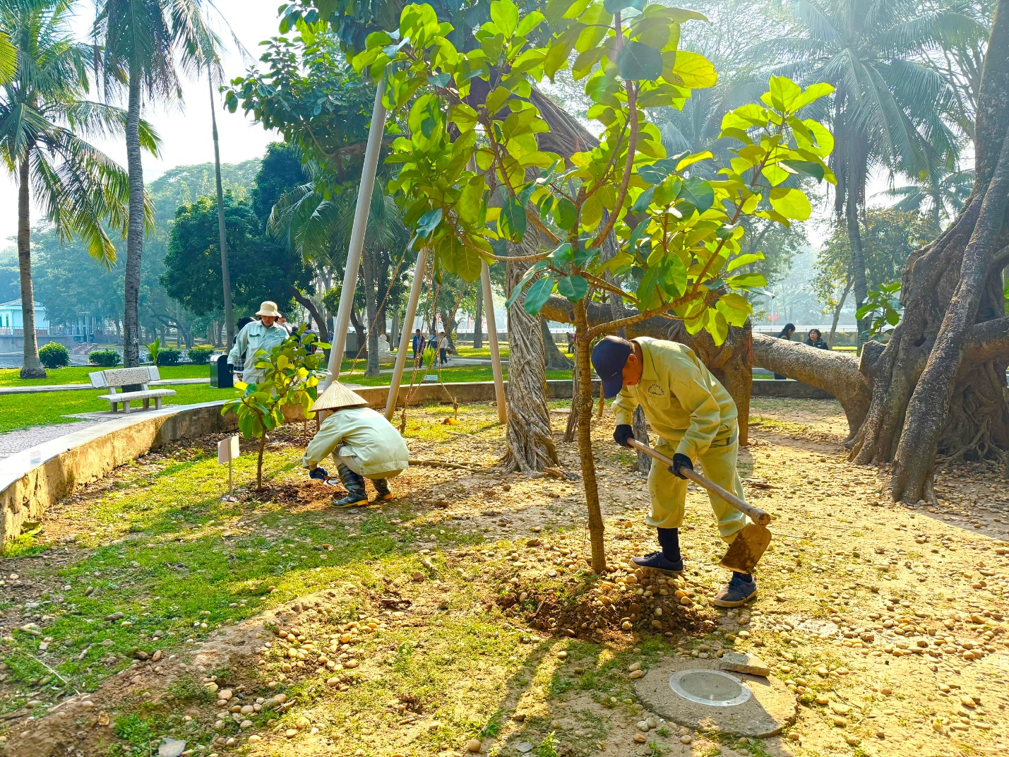 C&acirc;y xanh tạo bản sắc đ&ocirc; thị, nền tảng ph&aacute;t triển bền vững- Ảnh 2.