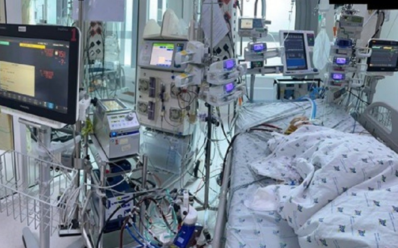 TP.HCM ghi nhận hơn 9.000 ca tay ch&acirc;n miệng, tăng gần 200%- Ảnh 3.