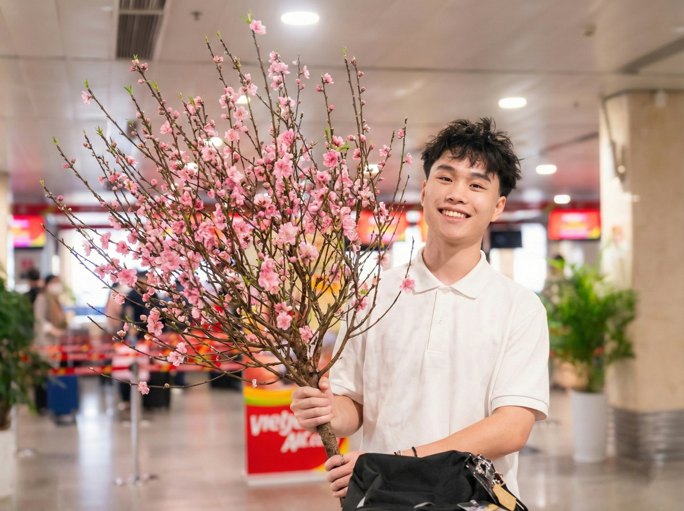 Vietjet nhận vận chuyển mai, đ&agrave;o Tết Nguy&ecirc;n đ&aacute;n 2026- Ảnh 1.