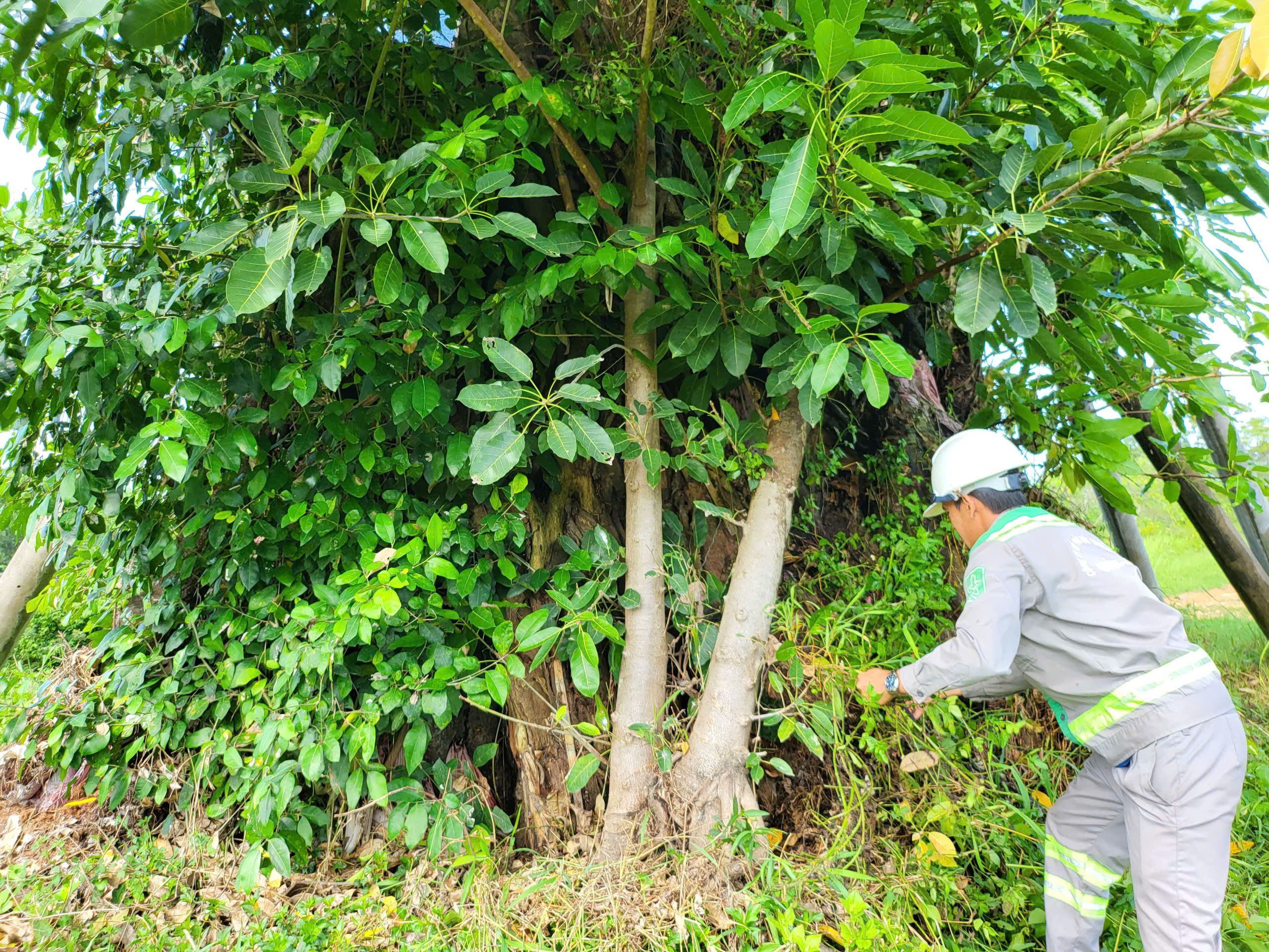Quảng Ngãi chính thức ban hành quy định về quản lý dịch vụ công sau nhập tỉnh- Ảnh 2. Quảng Ngãi chính thức ban hành quy định về quản lý dịch vụ công sau nhập tỉnh- Ảnh 2.
