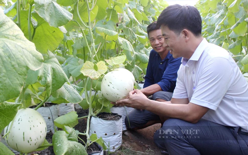 Ph&aacute;t huy vai tr&ograve;, sức s&aacute;ng tạo của n&ocirc;ng d&acirc;n trong kỷ nguy&ecirc;n mới đất nước- Ảnh 5.