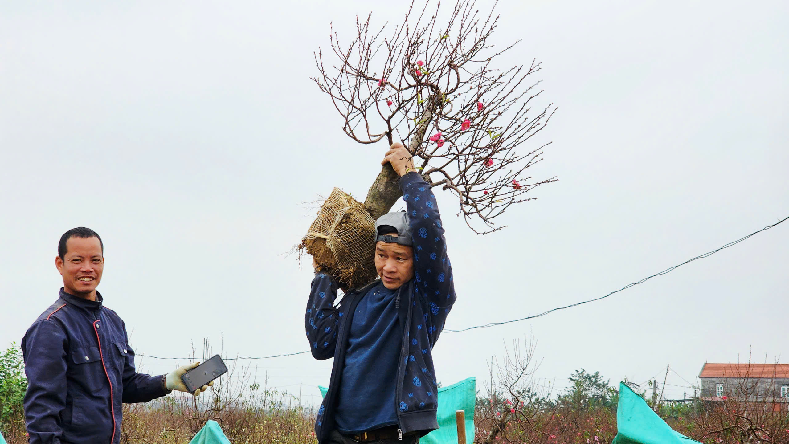"L&agrave;ng đ&agrave;o Nhật T&acirc;n tr&ecirc;n đất Kinh Bắc" nhộn nhịp v&agrave;o vụ Tết- Ảnh 18.