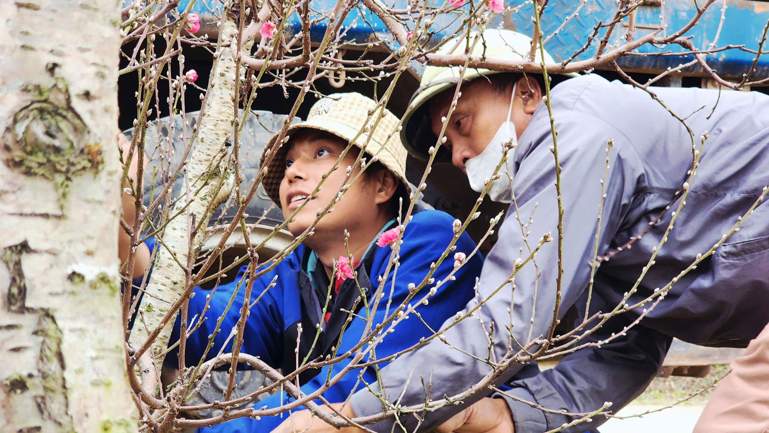 "L&agrave;ng đ&agrave;o Nhật T&acirc;n tr&ecirc;n đất Kinh Bắc" nhộn nhịp v&agrave;o vụ Tết- Ảnh 3.