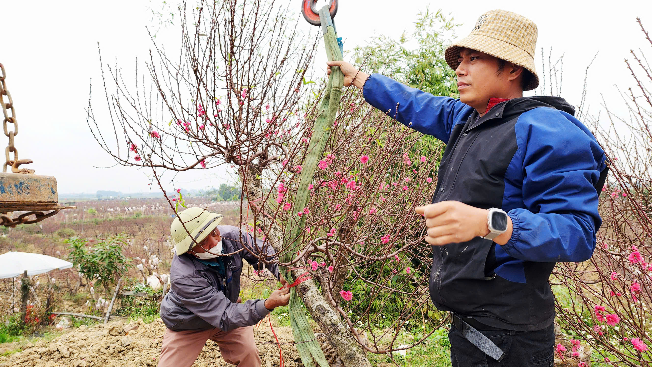 "L&agrave;ng đ&agrave;o Nhật T&acirc;n tr&ecirc;n đất Kinh Bắc" nhộn nhịp v&agrave;o vụ Tết- Ảnh 10.