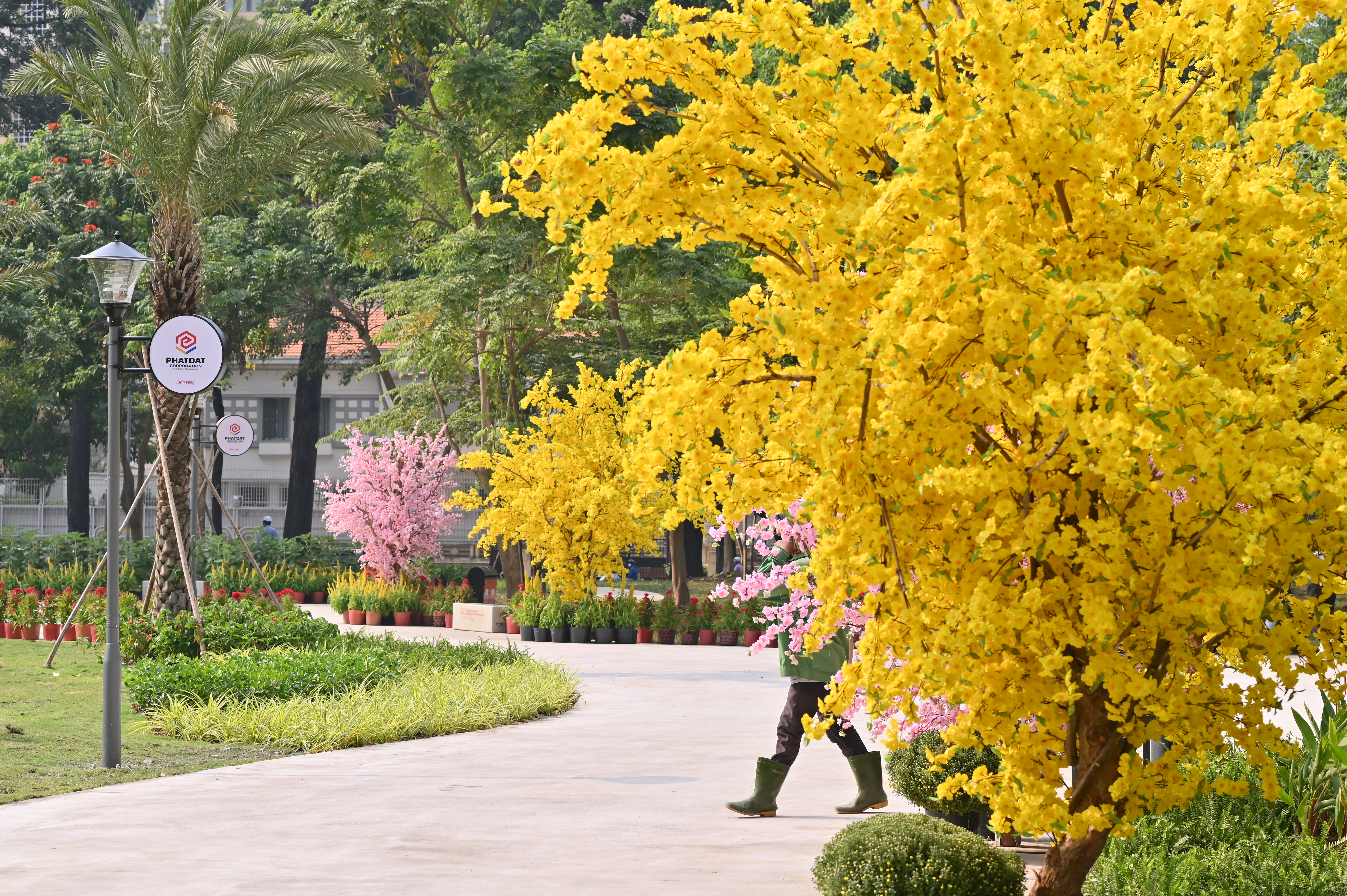 TP.HCM chỉnh trang đ&ocirc; thị, phố phường kho&aacute;c &ldquo;&aacute;o mới&rdquo; đ&oacute;n Tết B&iacute;nh Ngọ 2026- Ảnh 14.