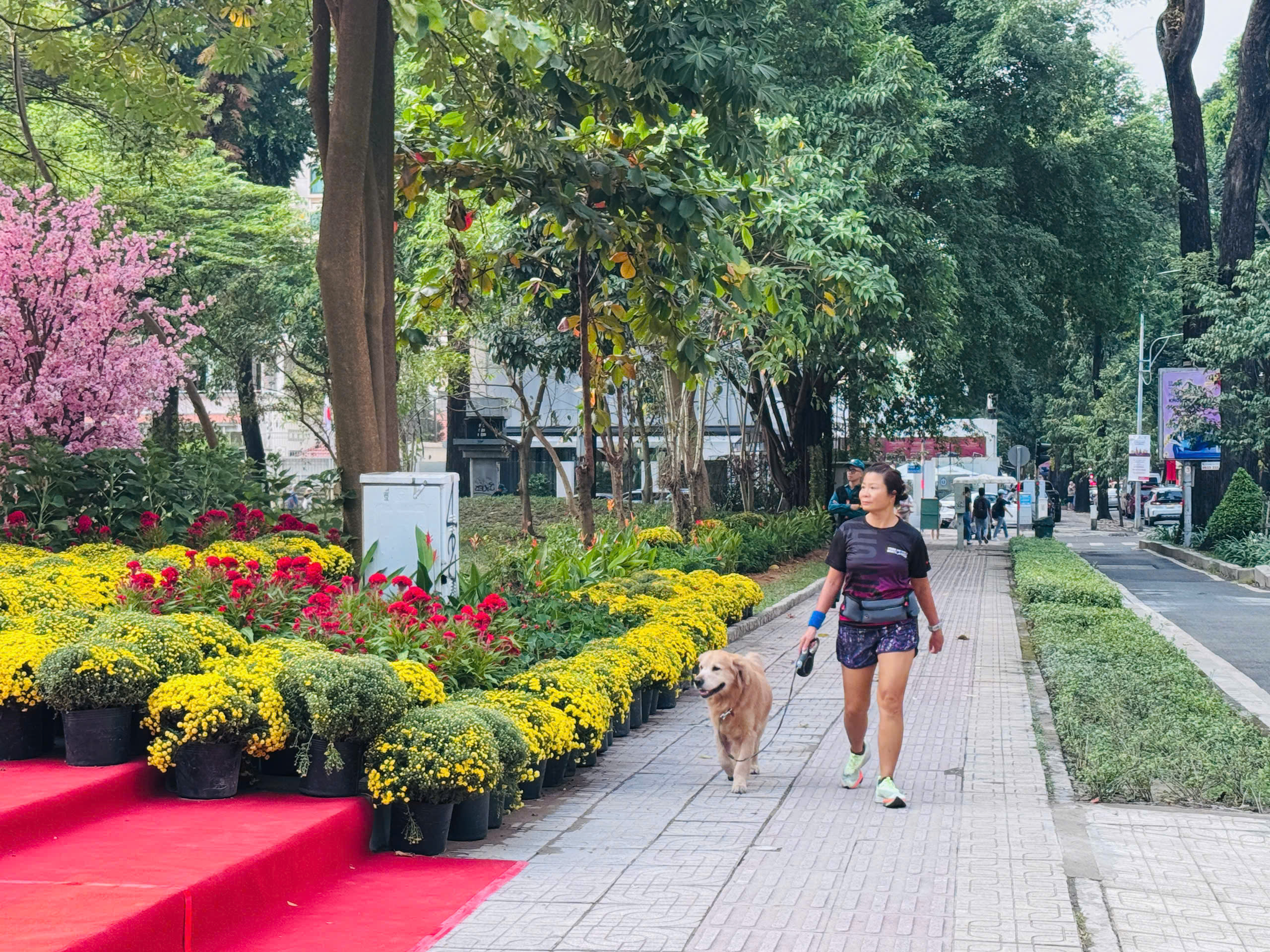 TP.HCM: &ldquo;Đất v&agrave;ng&rdquo; Phan Đ&igrave;nh Ph&ugrave;ng h&oacute;a c&ocirc;ng vi&ecirc;n xanh, phục vụ người d&acirc;n trước Tết- Ảnh 13.