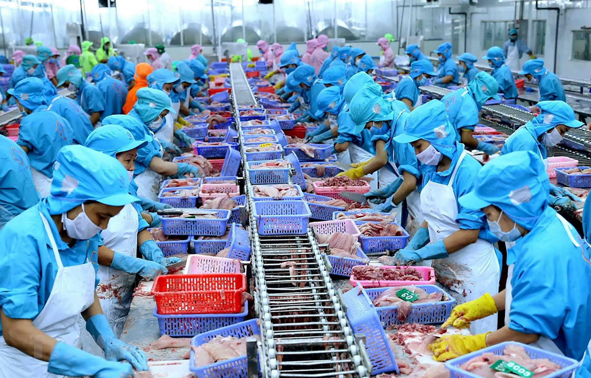 Xuất khẩu n&ocirc;ng sản hướng tới kỷ lục 74 tỷ USD- Ảnh 1.