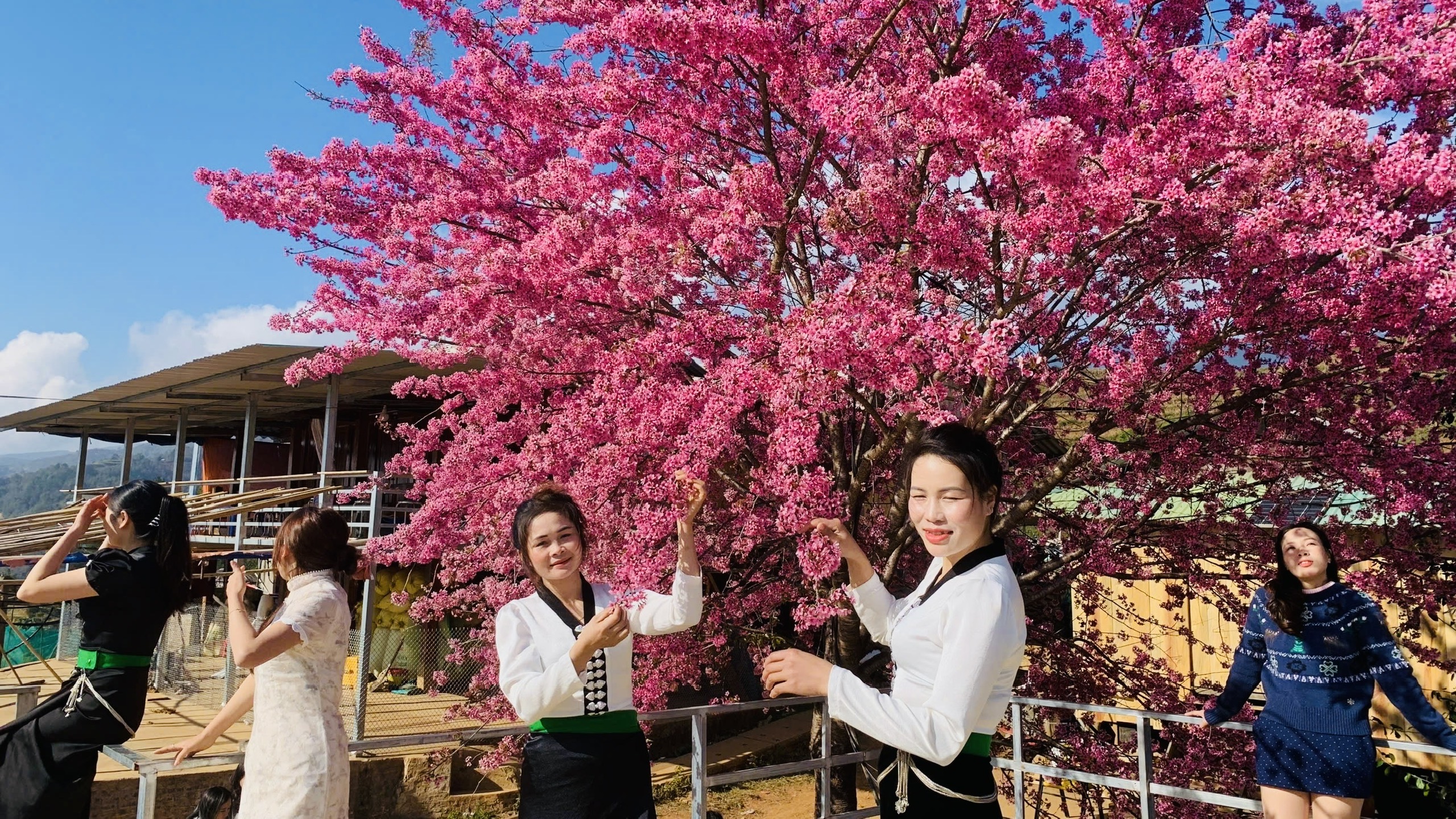 Du kh&aacute;ch đổ về M&ugrave; Cang Chải chi&ecirc;m ngưỡng hoa tớ d&agrave;y- Ảnh 10.