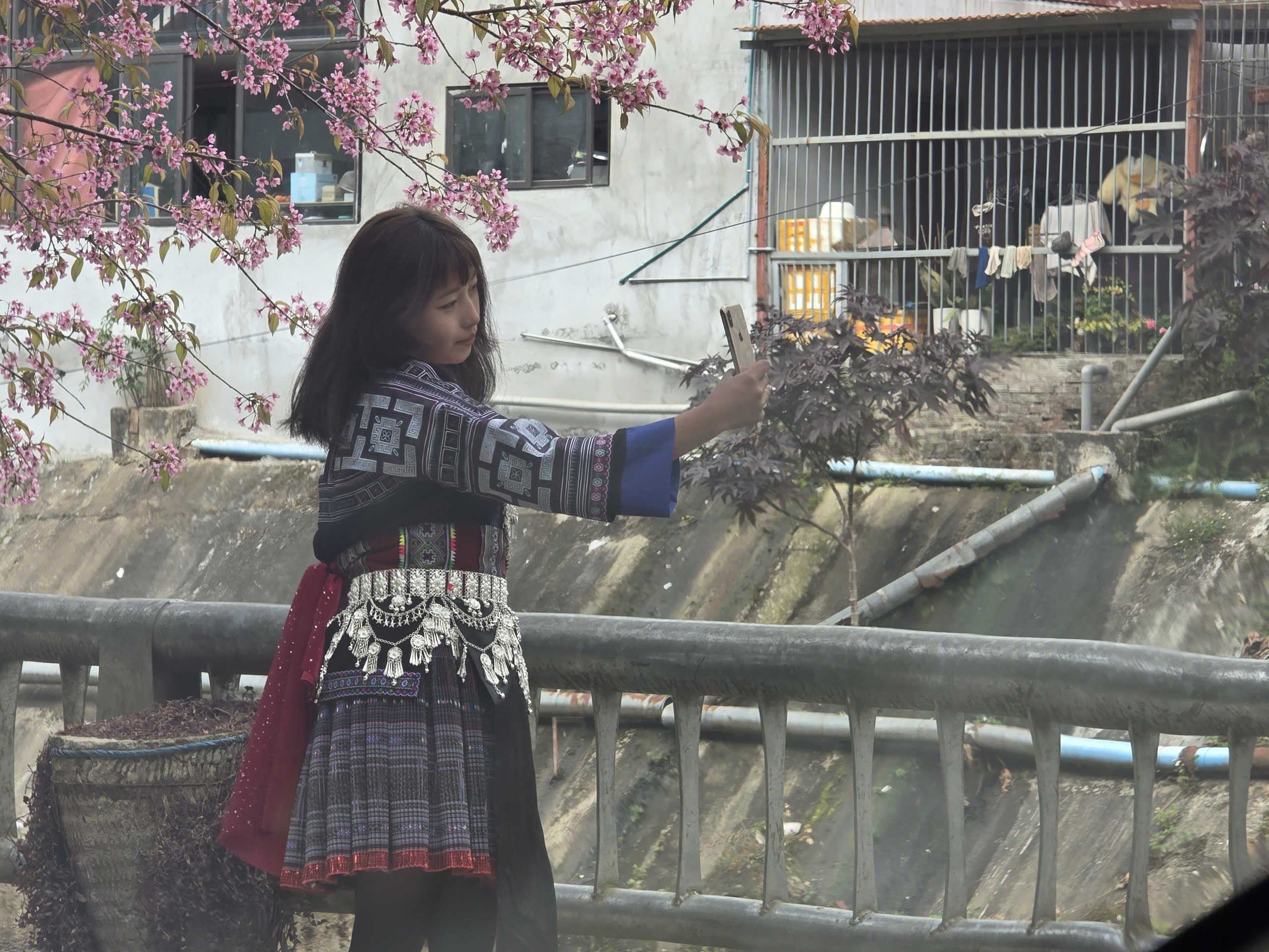 Du kh&aacute;ch đổ về M&ugrave; Cang Chải chi&ecirc;m ngưỡng hoa tớ d&agrave;y- Ảnh 3.