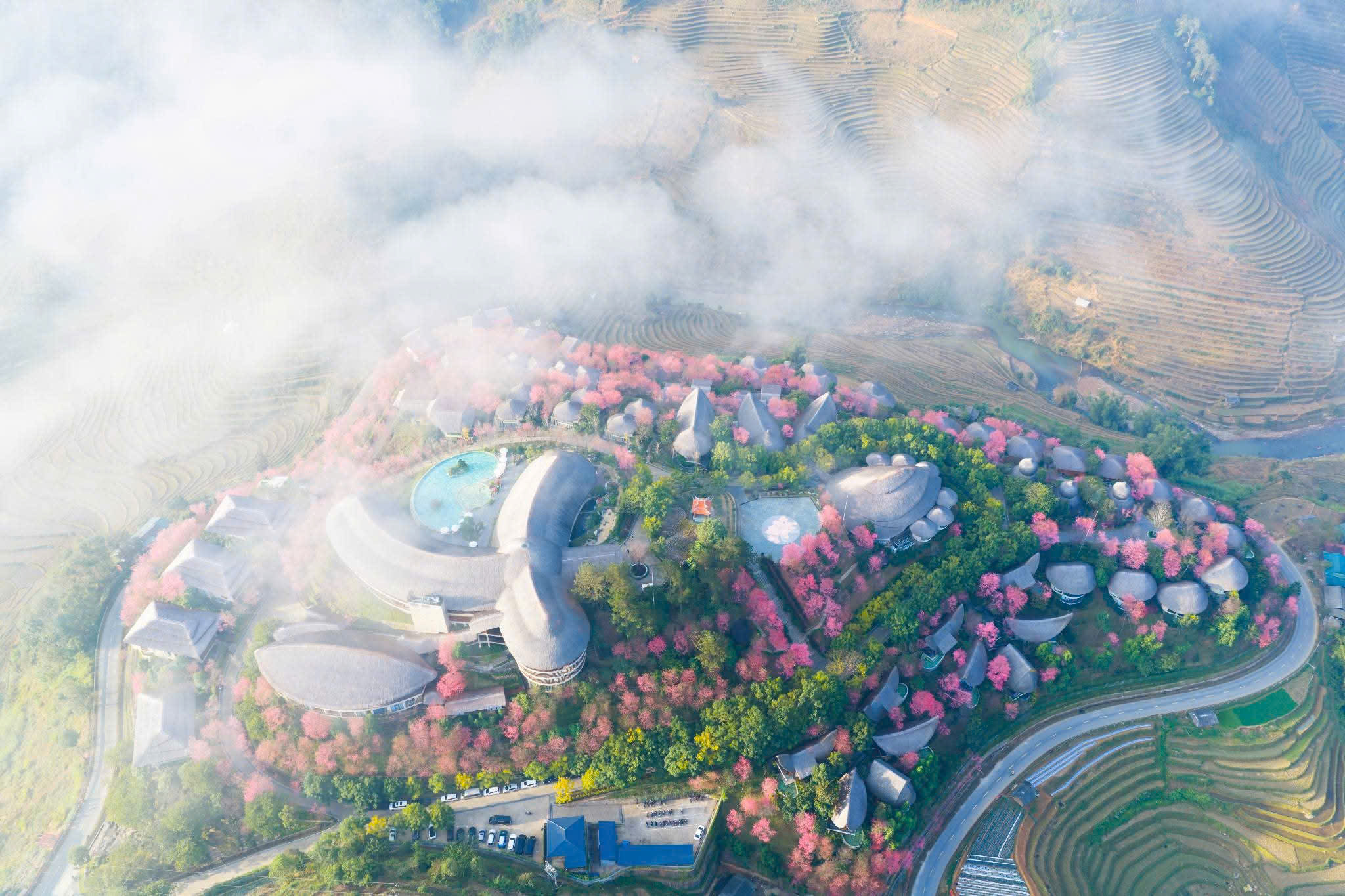 Du kh&aacute;ch đổ về M&ugrave; Cang Chải chi&ecirc;m ngưỡng hoa tớ d&agrave;y- Ảnh 6.