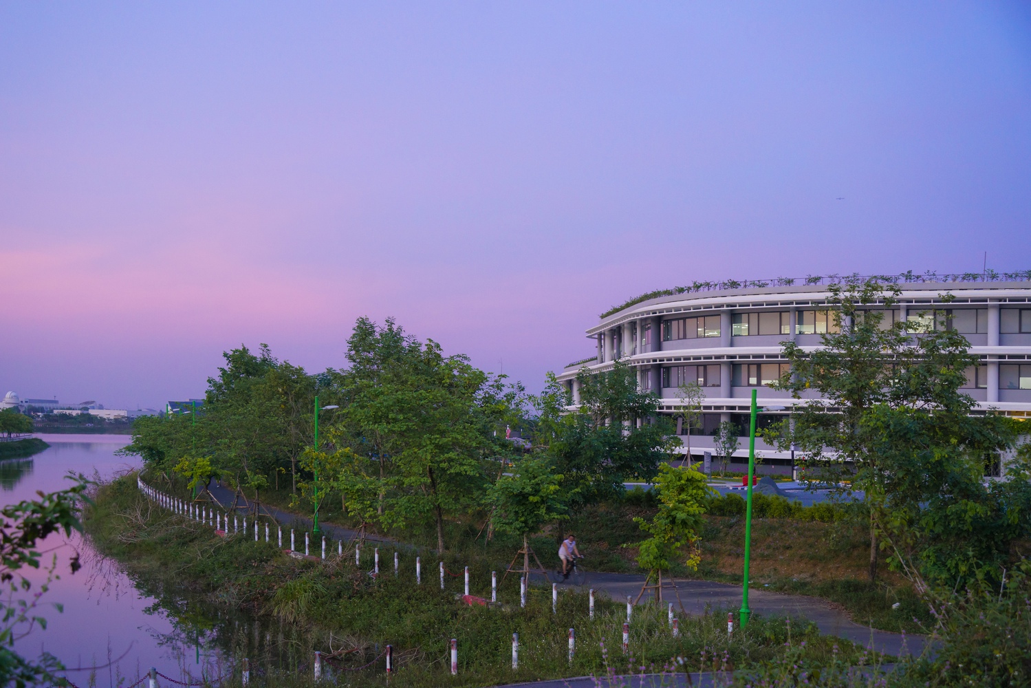 Dự &aacute;n &ldquo;l&agrave;ng V&ocirc; cực&rdquo; xanh như thế n&agrave;o?- Ảnh 9.