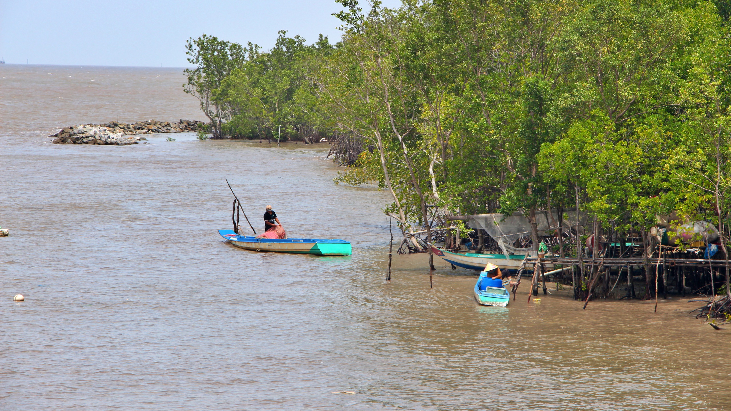 Dự chi hơn 500 tỷ đồng hỗ trợ sinh kế hộ ngh&egrave;o, gia đ&igrave;nh ch&iacute;nh s&aacute;ch ở C&agrave; Mau- Ảnh 1.