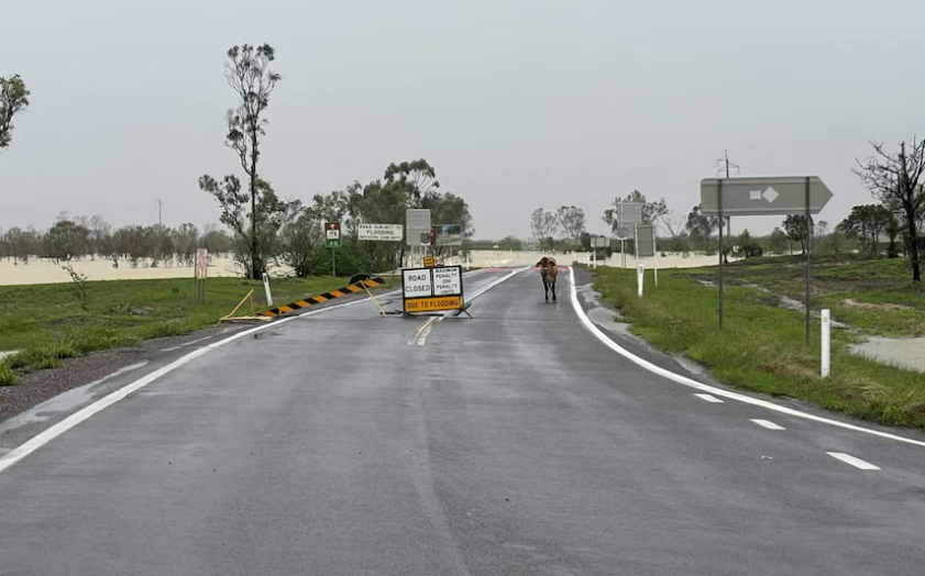 Australia khuyến c&aacute;o kh&ocirc;ng phụ thuộc ứng dụng chỉ đường, tr&aacute;nh mắc kẹt giữa đường ngập- Ảnh 1.