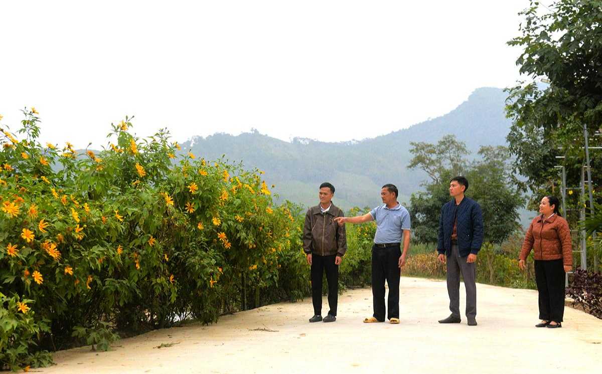 Tuyên Quang: Hạ tầng giao thông đổi thay thúc đẩy giao thương nông sản, nâng cao đời sống- Ảnh 2. Tuyên Quang: Hạ tầng giao thông đổi thay thúc đẩy giao thương nông sản, nâng cao đời sống- Ảnh 2.