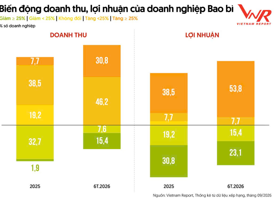 Ngành bao bì: Doanh thu tăng, lợi nhuận vẫn hụt hơi- Ảnh 1.