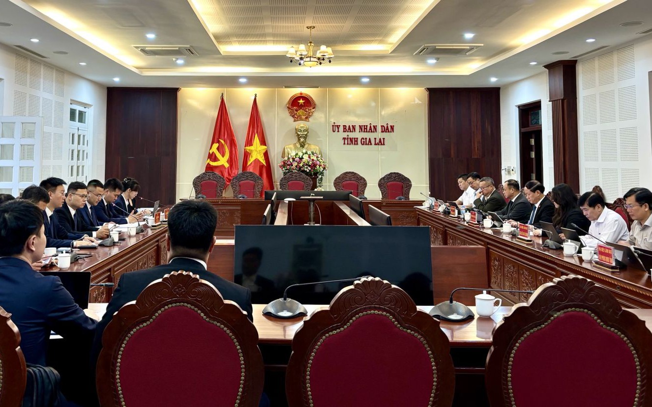Bí thư Tỉnh ủy Gia Lai yêu cầu sớm đưa tổ hợp Muyuan vào hoạt động- Ảnh 3.
