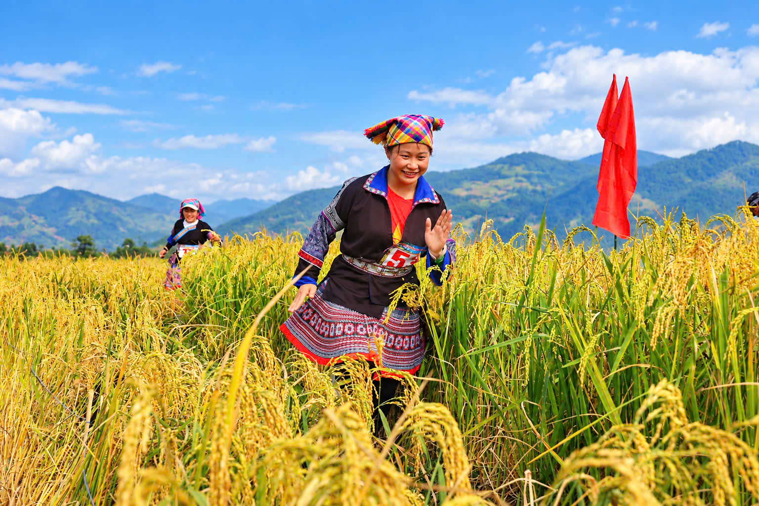 Độc đáo hình ảnh phụ nữ Mông mặc váy chạy trên ruộng bậc thang ở Lào Cai- Ảnh 6.