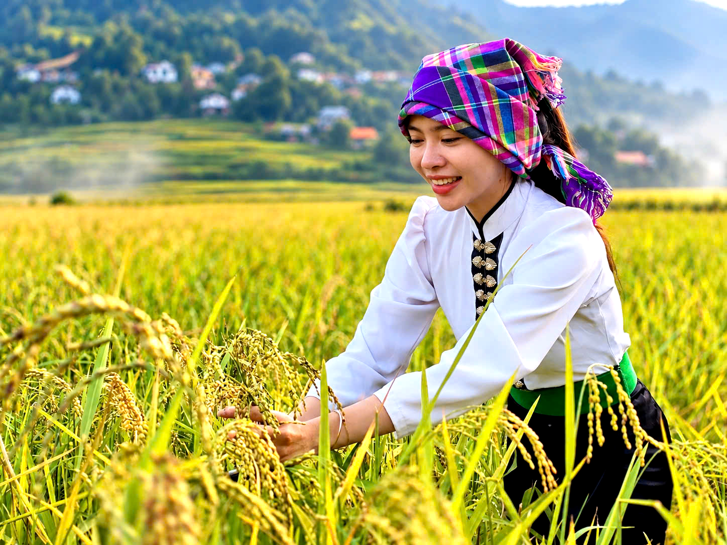 Về Tú Lệ, xem người Thái giữ nghề làm cốm truyền thống, lưu hương vị núi rừng- Ảnh 2.