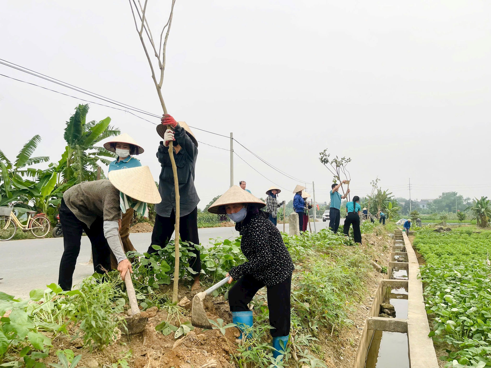 Hà Nội gắn quy hoạch nông thôn với chuyển đổi nghề nghiệp, bảo đảm sinh kế cho nông dân- Ảnh 1.