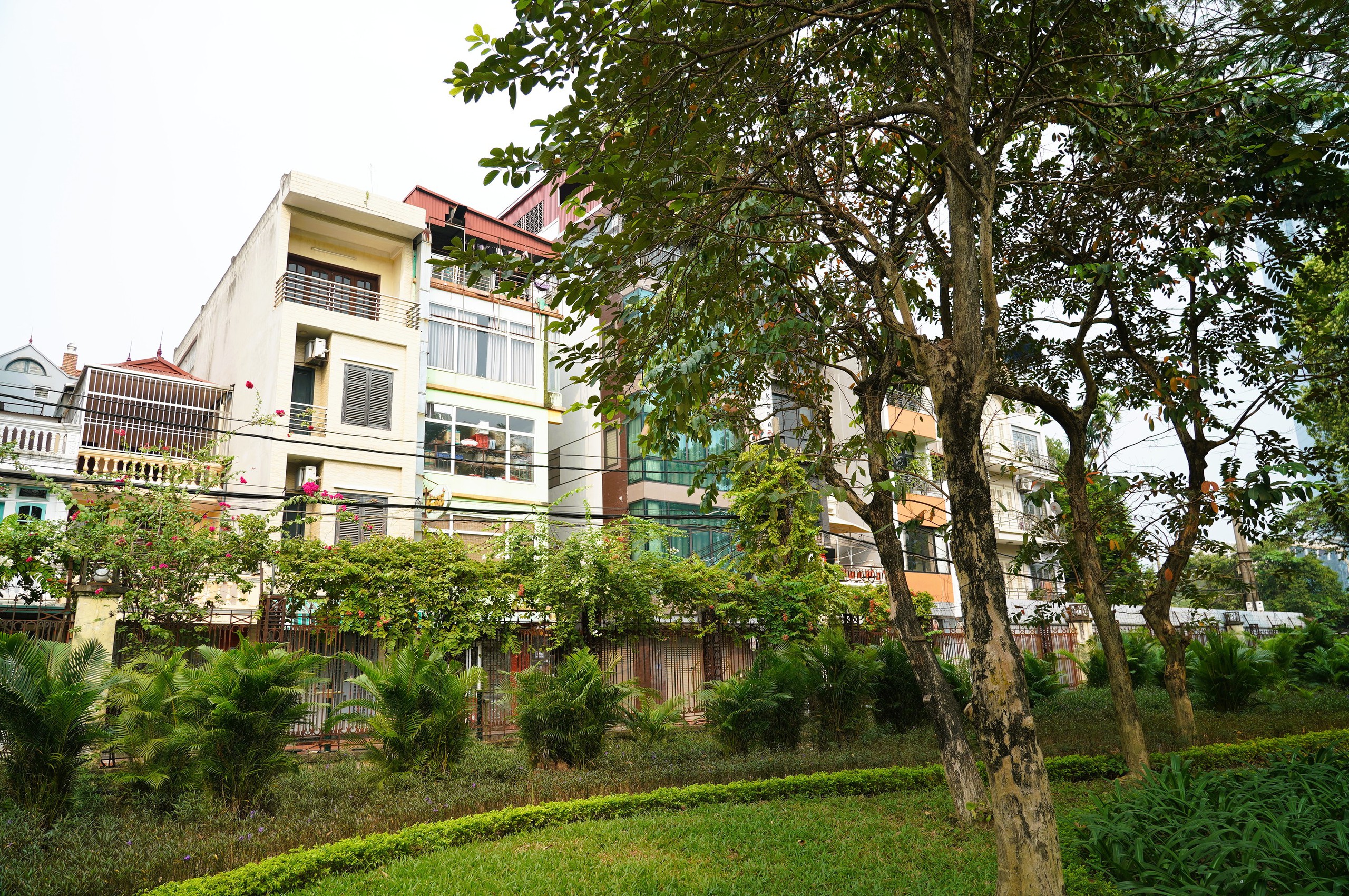 Diện mạo C&ocirc;ng vi&ecirc;n Thủ Lệ trước đề xuất mở 70% diện t&iacute;ch cho cộng đồng- Ảnh 17.