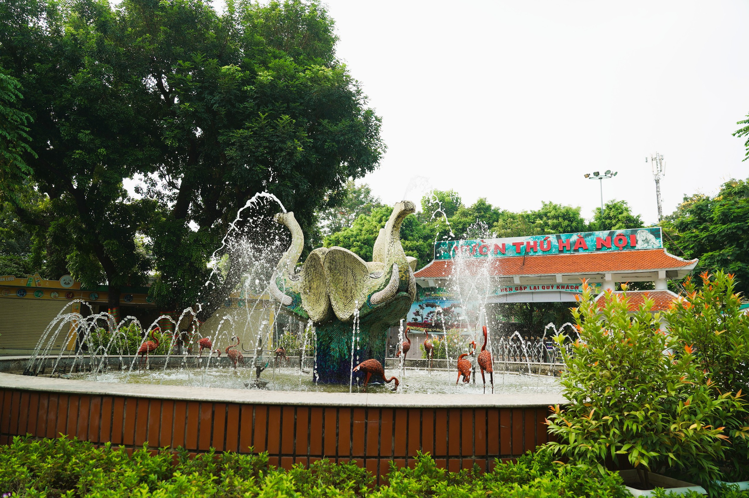 Diện mạo C&ocirc;ng vi&ecirc;n Thủ Lệ trước đề xuất mở 70% diện t&iacute;ch cho cộng đồng- Ảnh 1.