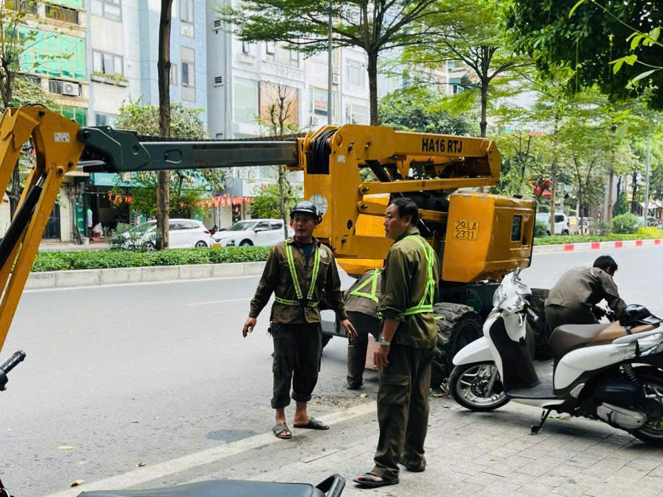 Hà Nội đồng loạt cắt tỉa 992 cây hoa sữa trên 13 tuyến phố - Ảnh 6.