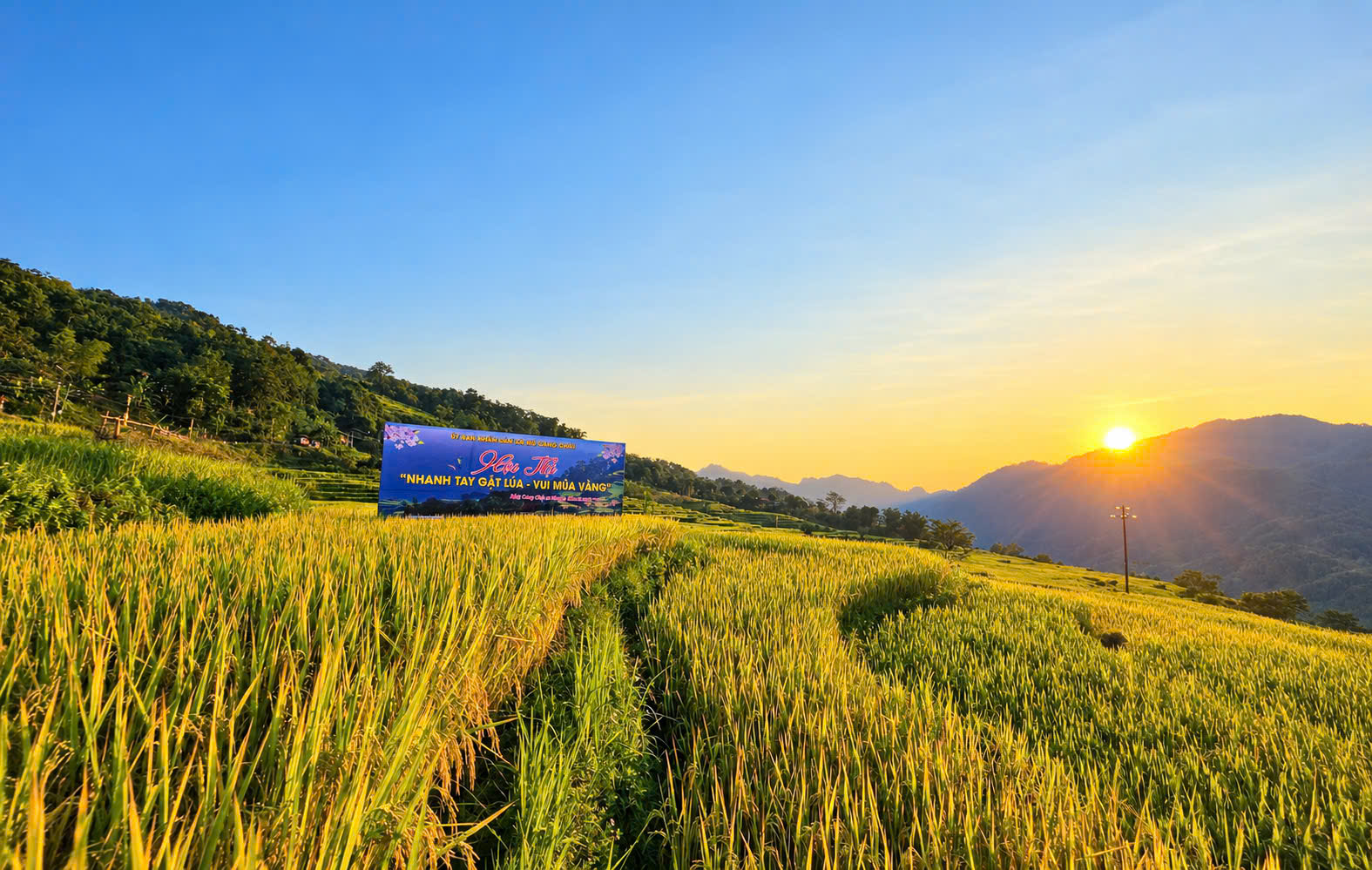 Rực rỡ sắc v&agrave;ng giữa v&ugrave;ng sơn cước Tuy&ecirc;n Quang- Ảnh 9.