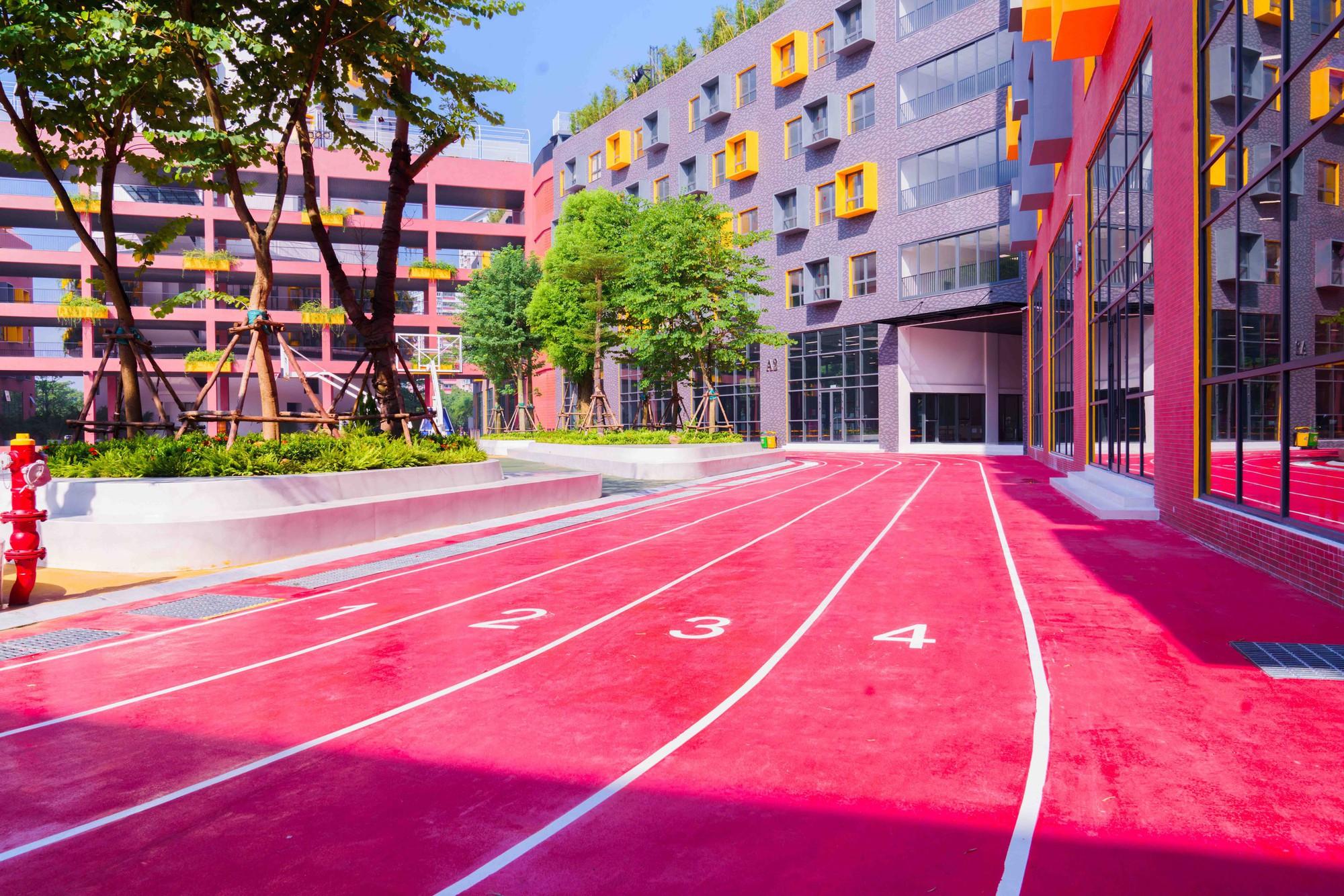 Ph&aacute;t triển thể thao học đường gắn với đầu tư hạ tầng bền vững - Ảnh 10.