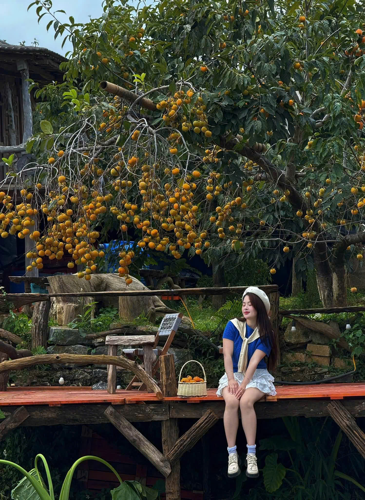 Du kh&aacute;ch m&ecirc; mẩn ở vườn hồng trĩu quả tr&ecirc;n cao nguy&ecirc;n Mộc Ch&acirc;u - Ảnh 14.