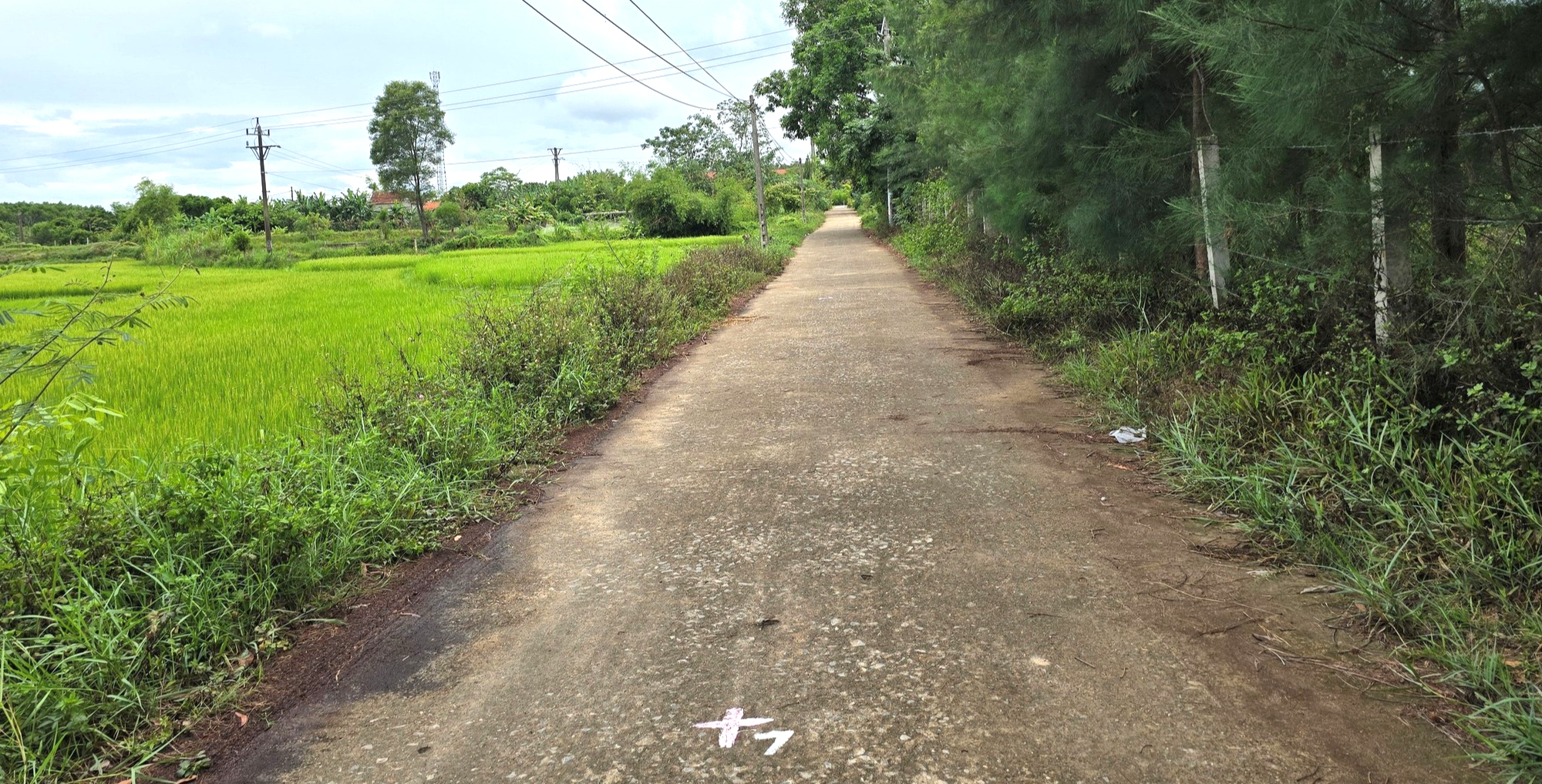 Quảng Trị: Đầu tư n&acirc;ng cấp, mở rộng đường v&agrave;o ga Mỹ Trạch v&agrave; ga Thọ Lộc- Ảnh 4.