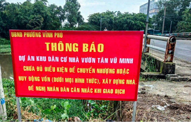 TP.HCM: Kiến nghị xử lý nhiều dự án bất động sản vướng mắc kéo dài ở phường Bình Hòa- Ảnh 2.