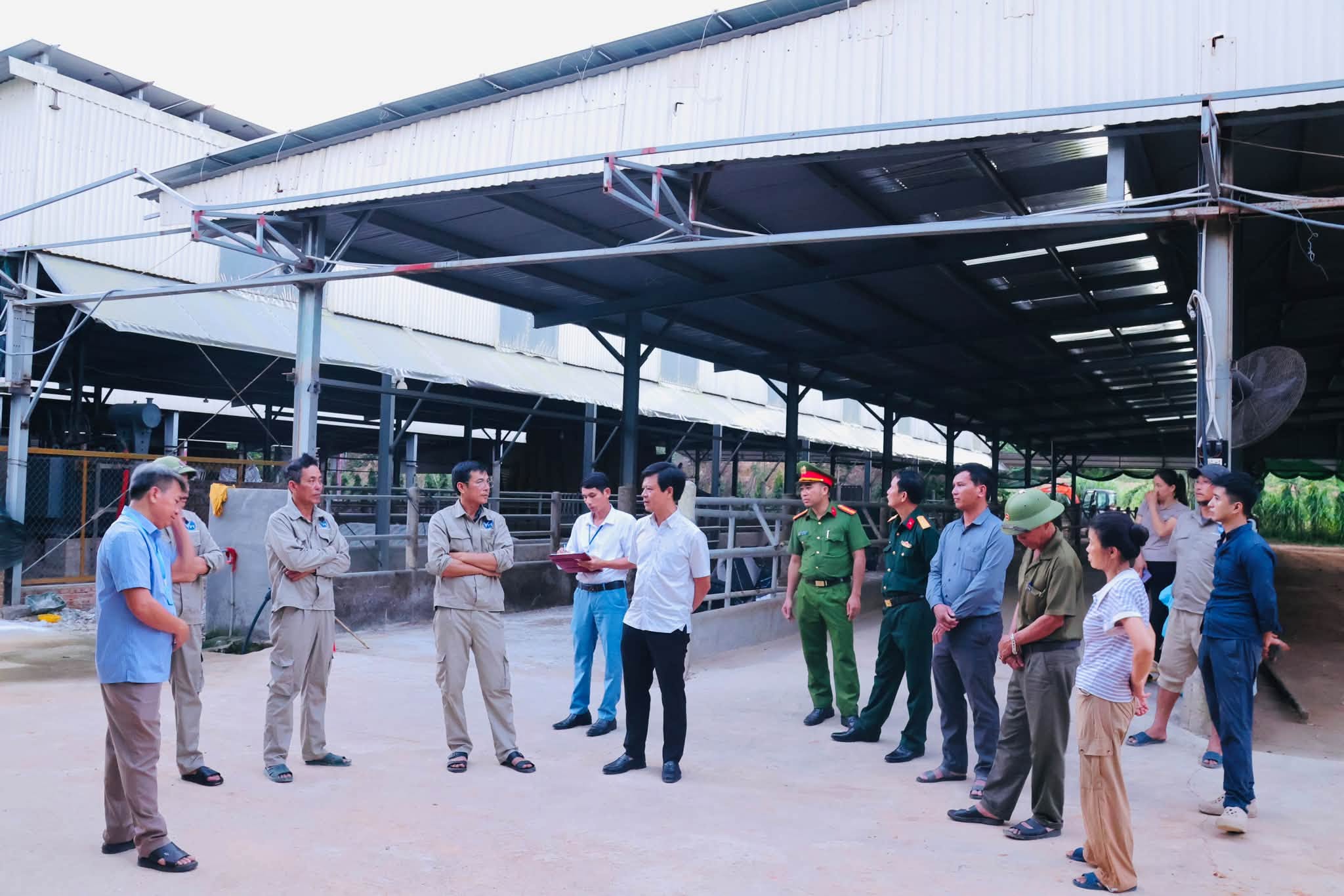 M&ugrave;i h&ocirc;i vẫn nồng nặc từ trang trại g&agrave; ở Quảng Trị- Ảnh 1.