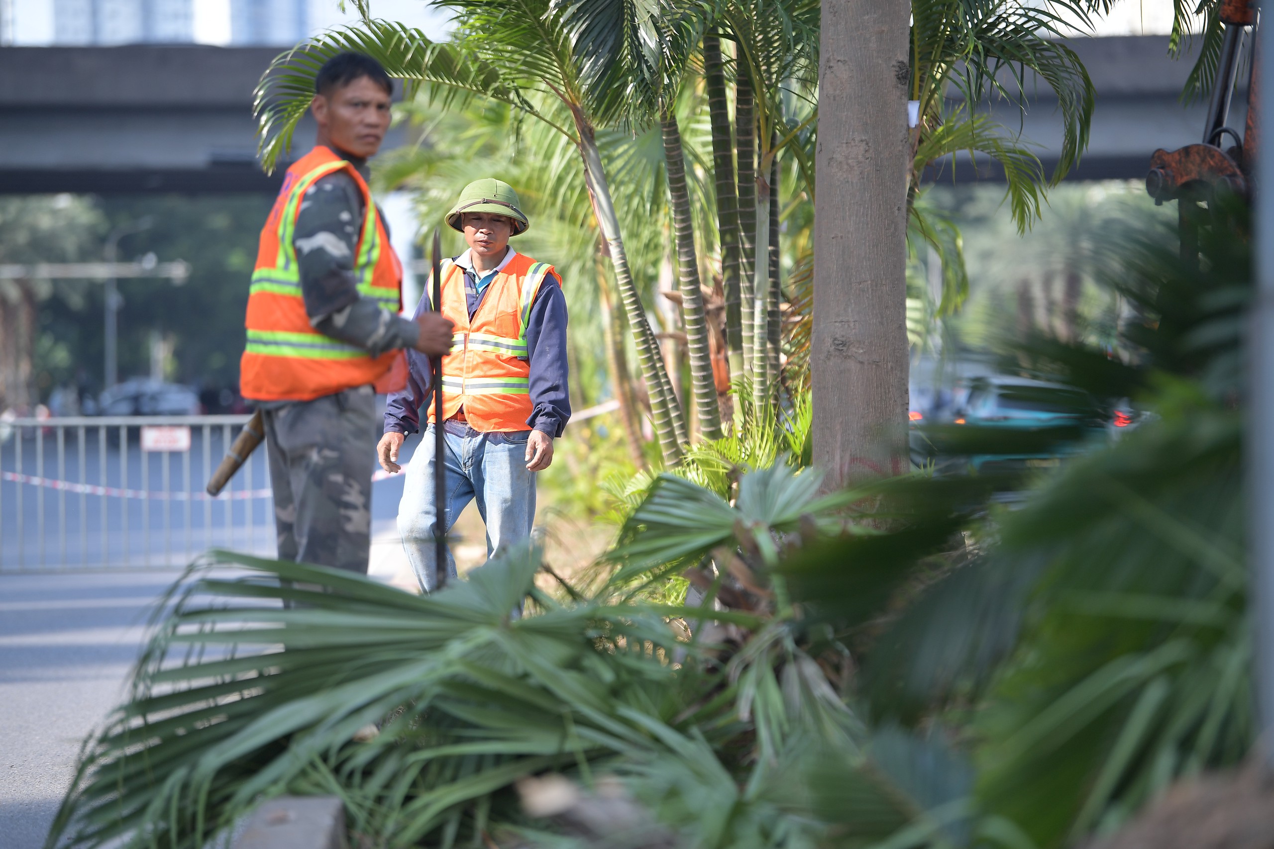 Cận cảnh: X&eacute;n vỉa h&egrave;, di dời h&agrave;ng loạt c&acirc;y xanh, chuẩn bị x&acirc;y hầm chui hơn 960 tỷ đồng - Ảnh 8.