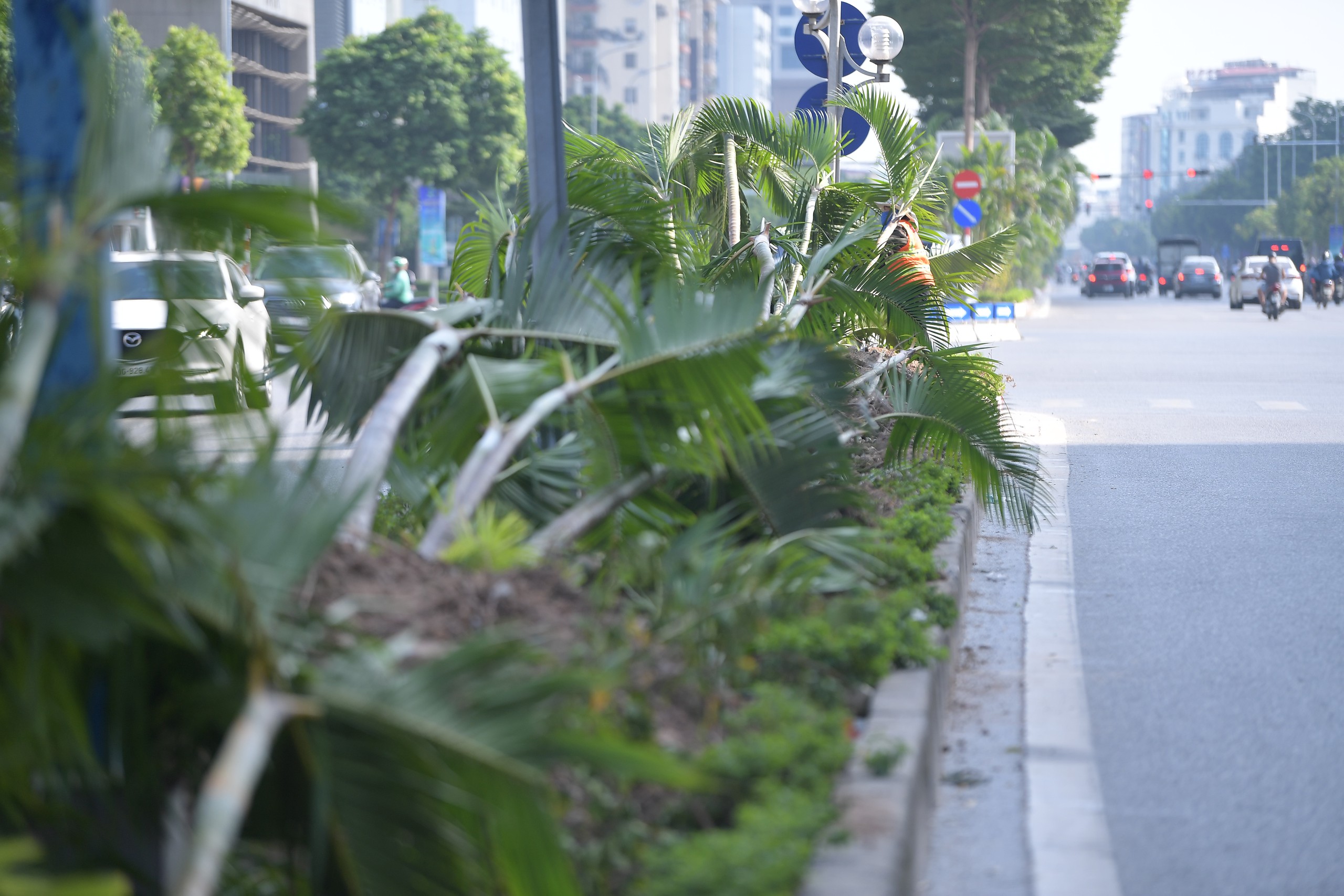 Cận cảnh: X&eacute;n vỉa h&egrave;, di dời h&agrave;ng loạt c&acirc;y xanh, chuẩn bị x&acirc;y hầm chui hơn 960 tỷ đồng - Ảnh 9.
