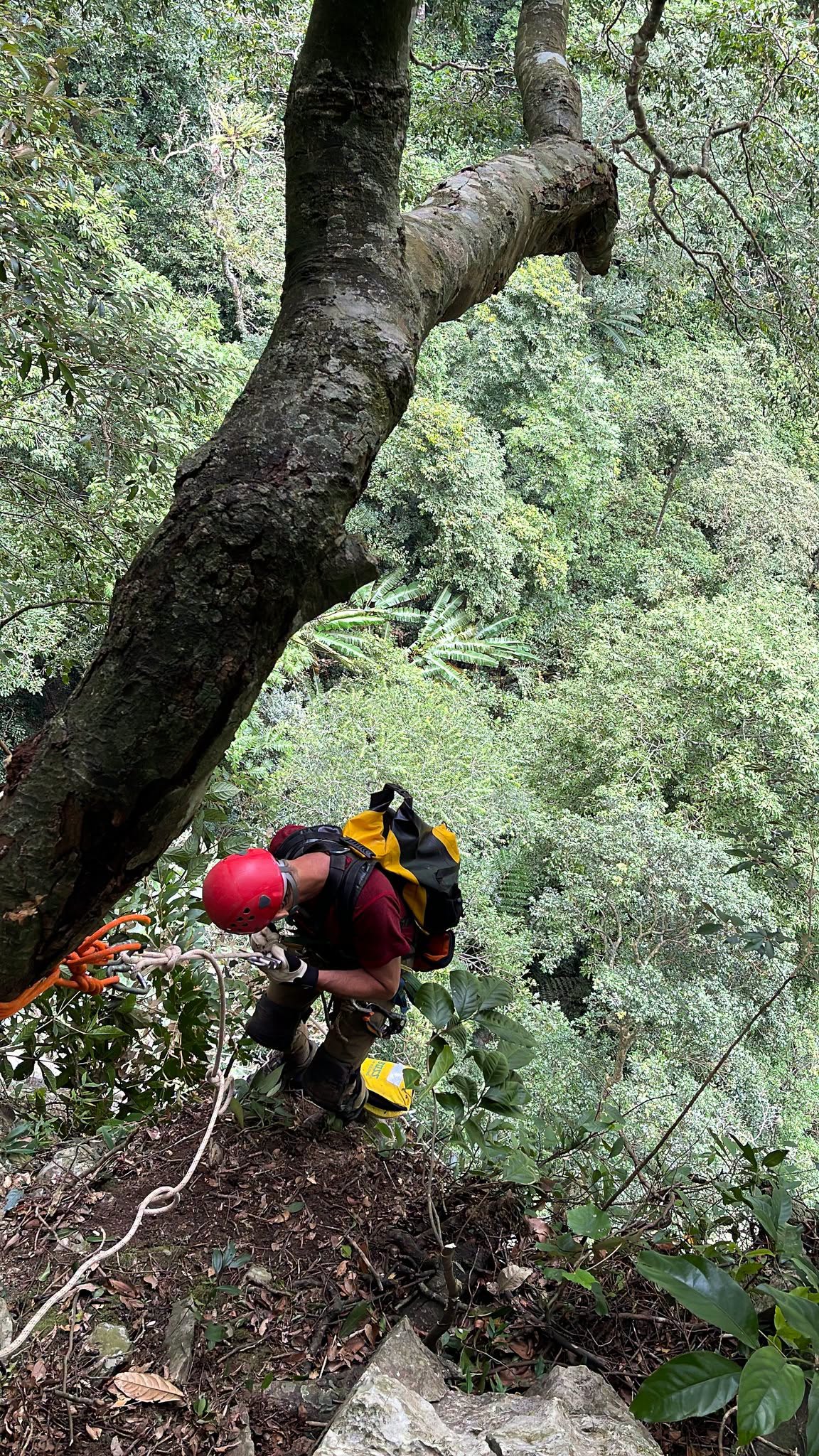 B&ecirc;n trong hố sụt khổng lồ mới ph&aacute;t hiện ở Phong Nha - Kẻ B&agrave;ng- Ảnh 8.