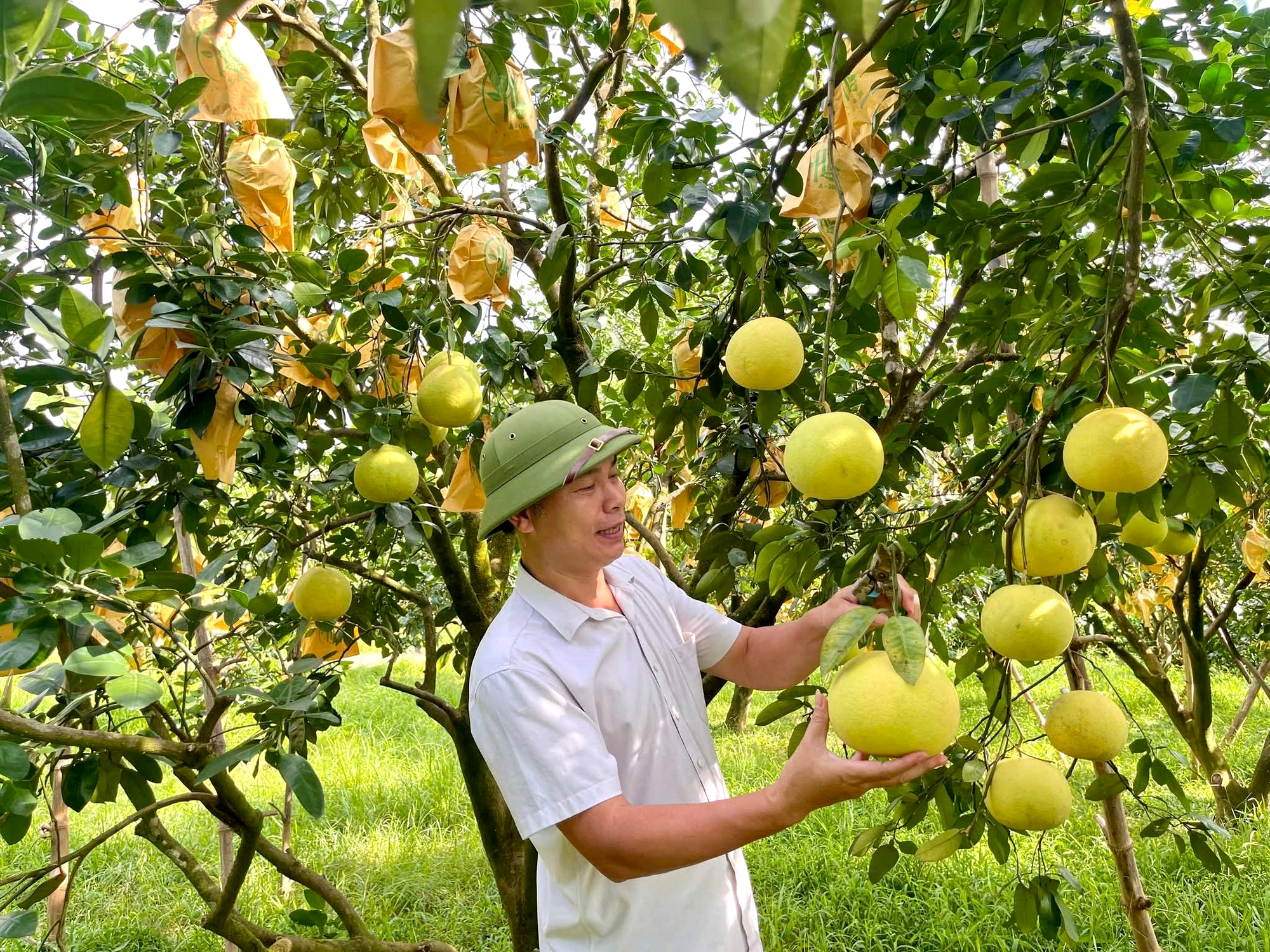 H&agrave; Tĩnh: Đo sự ph&aacute;t triển bằng năng suất v&agrave; đời sống người d&acirc;n- Ảnh 2.