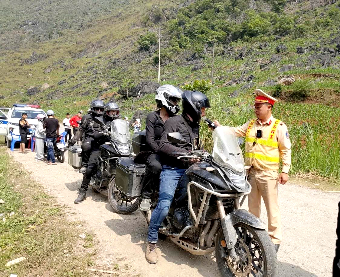 Tuy&ecirc;n Quang: Trồng 400ha hoa tam gi&aacute;c mạch, sẵn s&agrave;ng đ&oacute;n kh&aacute;ch m&ugrave;a lễ hội 2026- Ảnh 2.
