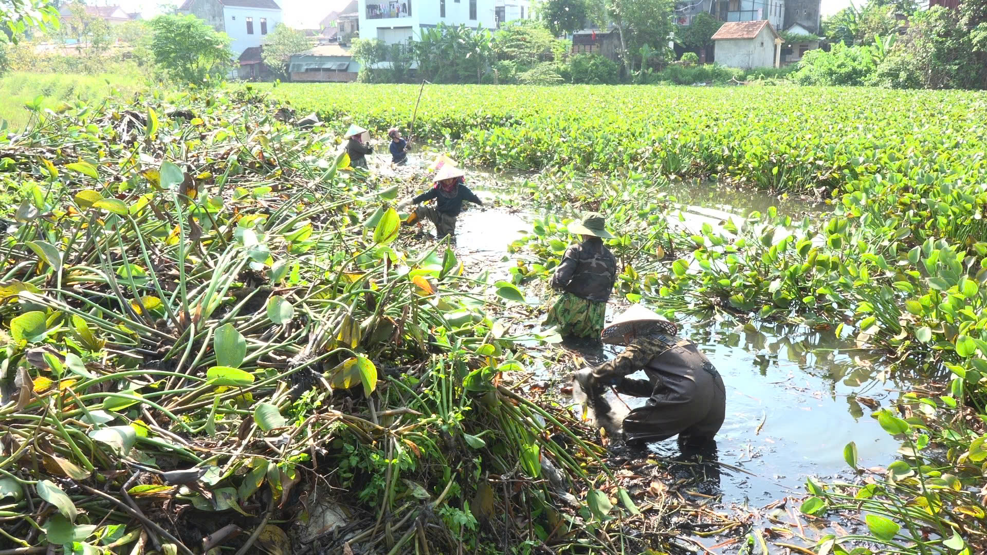 B&egrave;o t&acirc;y phủ k&iacute;n s&ocirc;ng H&oacute;i Trường ở Quảng Trị- Ảnh 1.