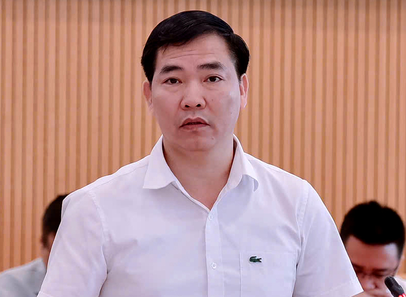 H&agrave; Nội: C&acirc;y cấm trồng nhưng đ&atilde; trồng, xử l&yacute; thế n&agrave;o? - Ảnh 2.