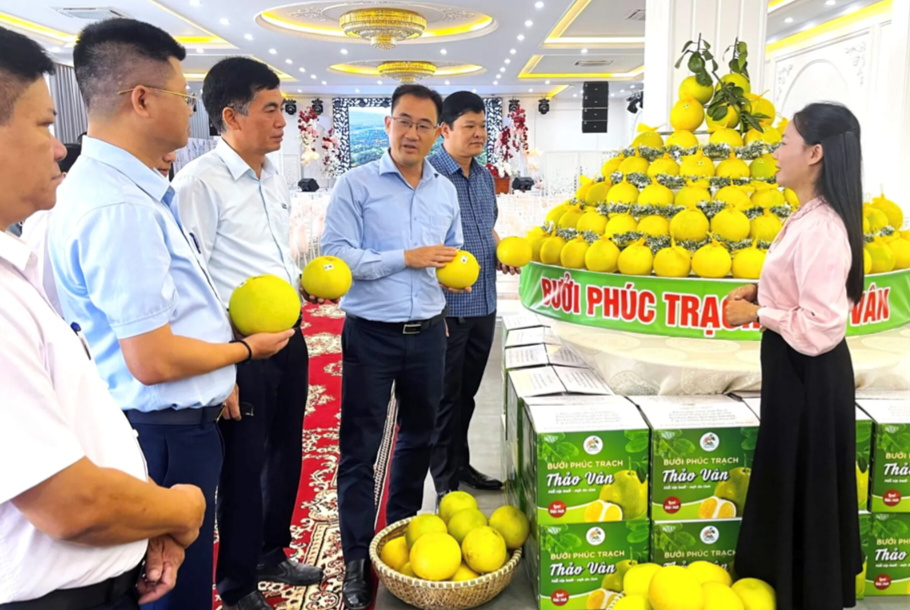 H&agrave; Tĩnh: Quy hoạch n&ocirc;ng th&ocirc;n mới gắn với bảo hộ chỉ dẫn địa l&yacute;- Ảnh 1.