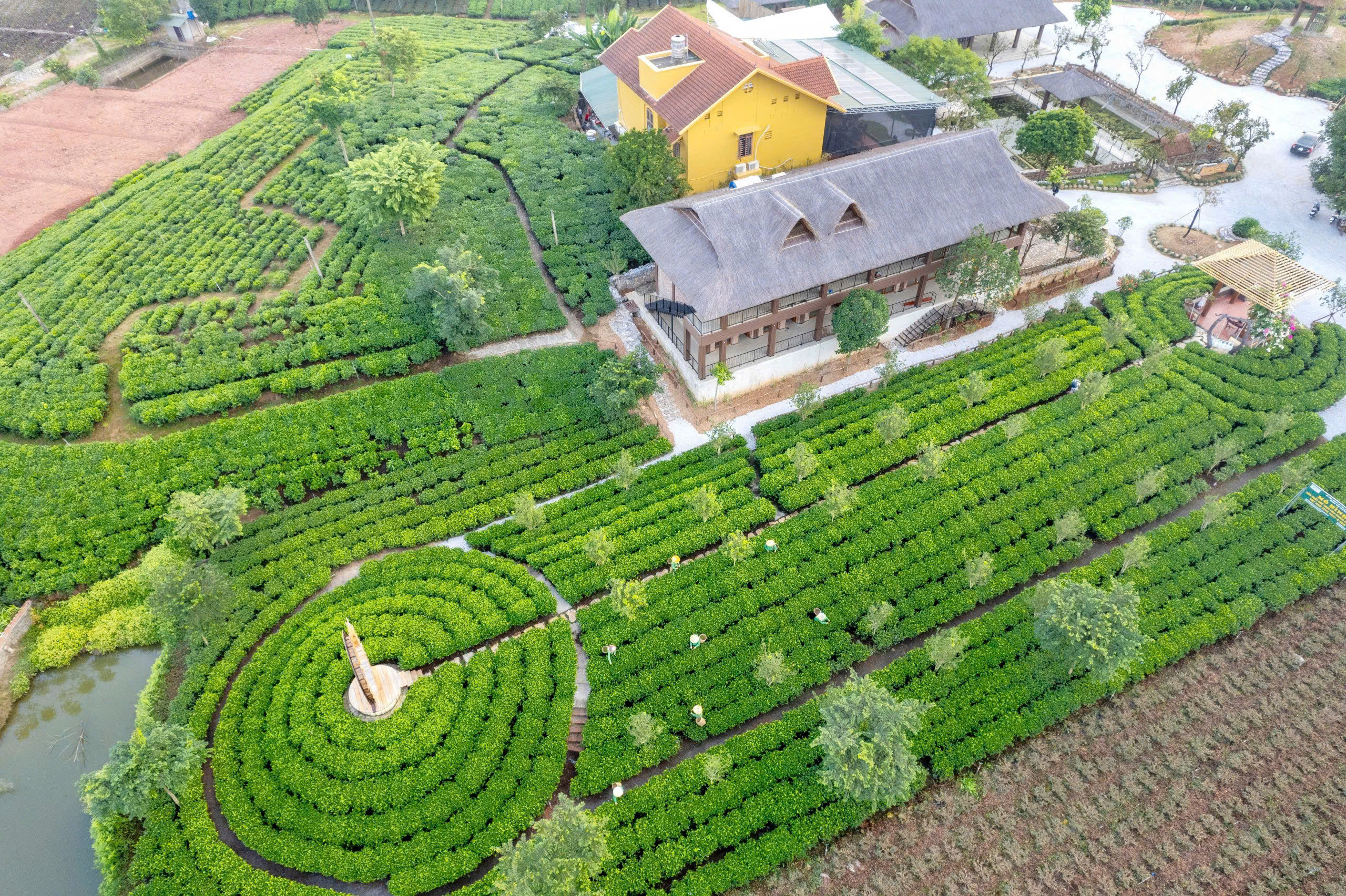 Chuyến t&agrave;u di sản v&agrave; h&agrave;nh tr&igrave;nh kh&aacute;m ph&aacute; xứ Tr&agrave;- Ảnh 10.