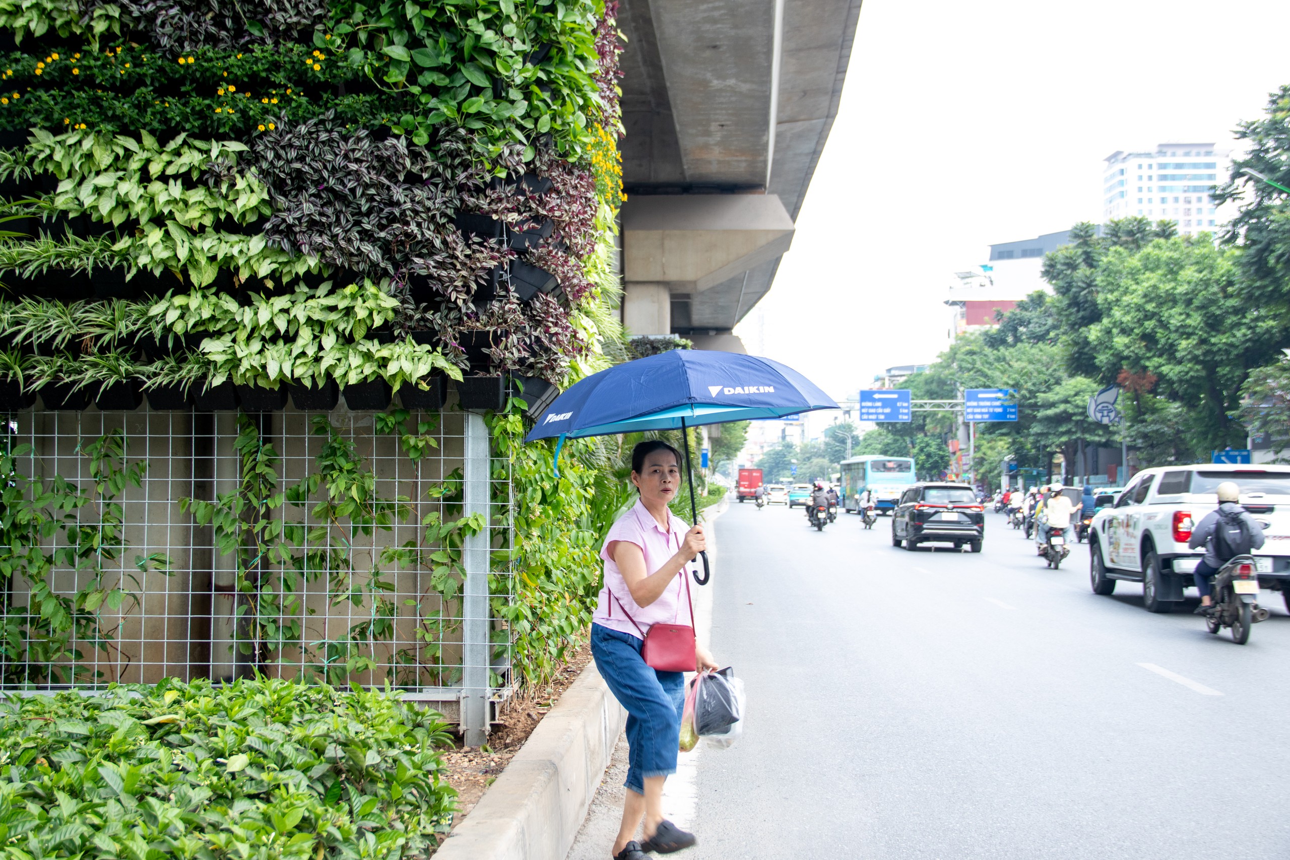 Hà Nội phủ xanh trụ đường sắt đô thị, cầu vượt và hầm chui- Ảnh 11.