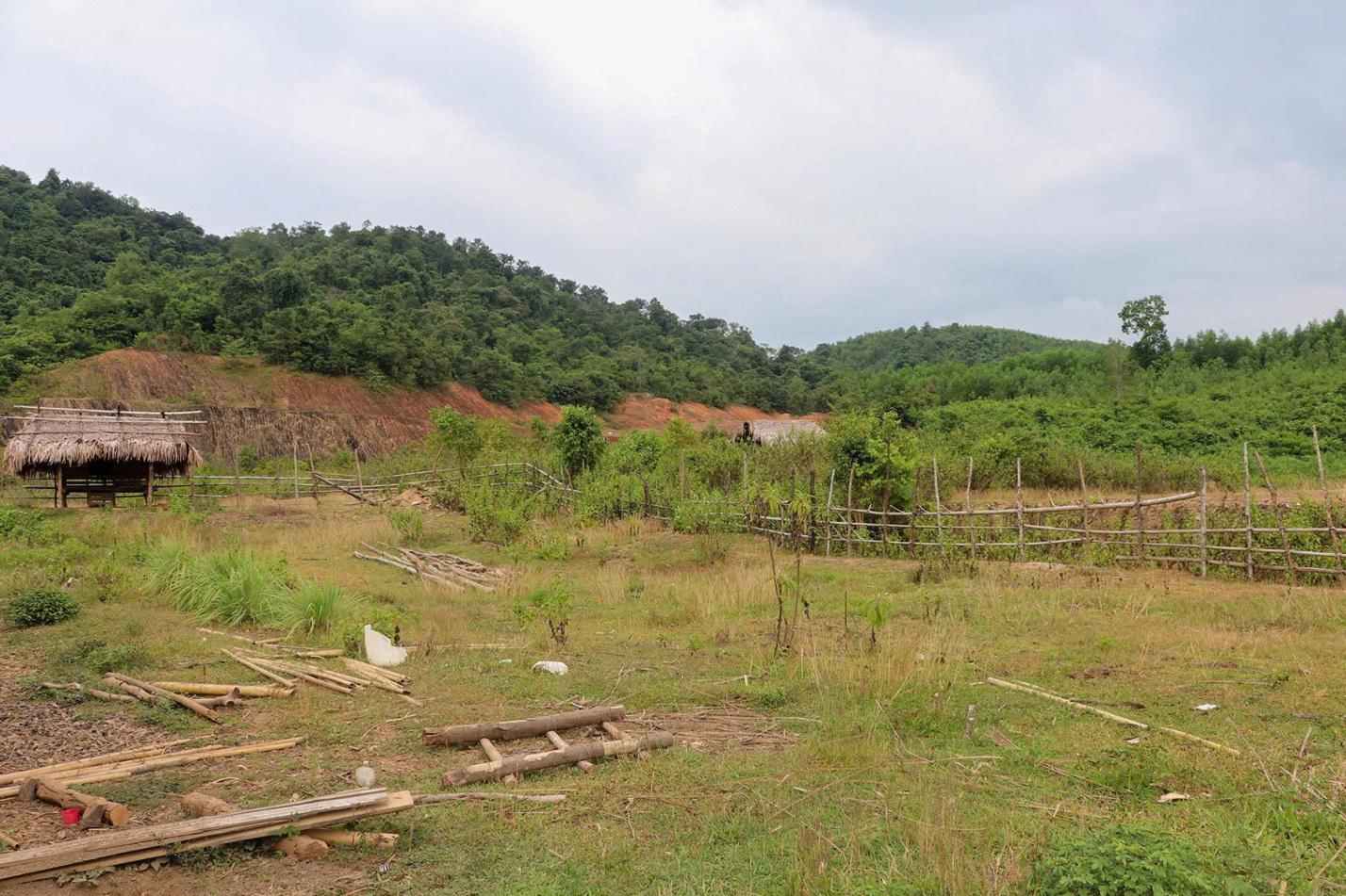 Nghệ An: Gỡ điểm nghẽn dự &aacute;n t&aacute;i định cư, sớm ổn định cuộc sống người d&acirc;n v&ugrave;ng cao- Ảnh 4.