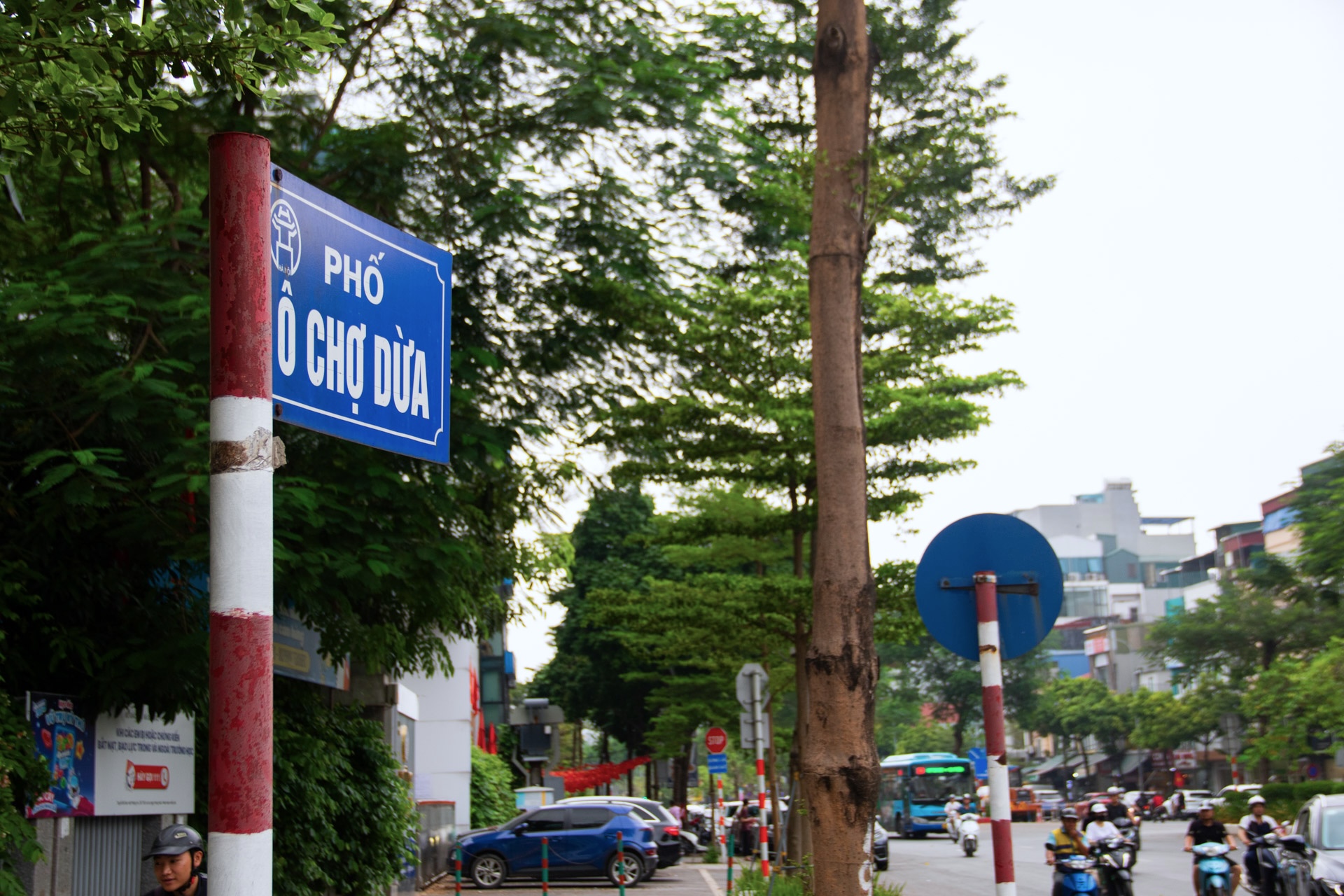 Hà Nội: Xén dải phân cách, mở thêm “đường thoát” cho phố Ô Chợ Dừa- Ảnh 2.