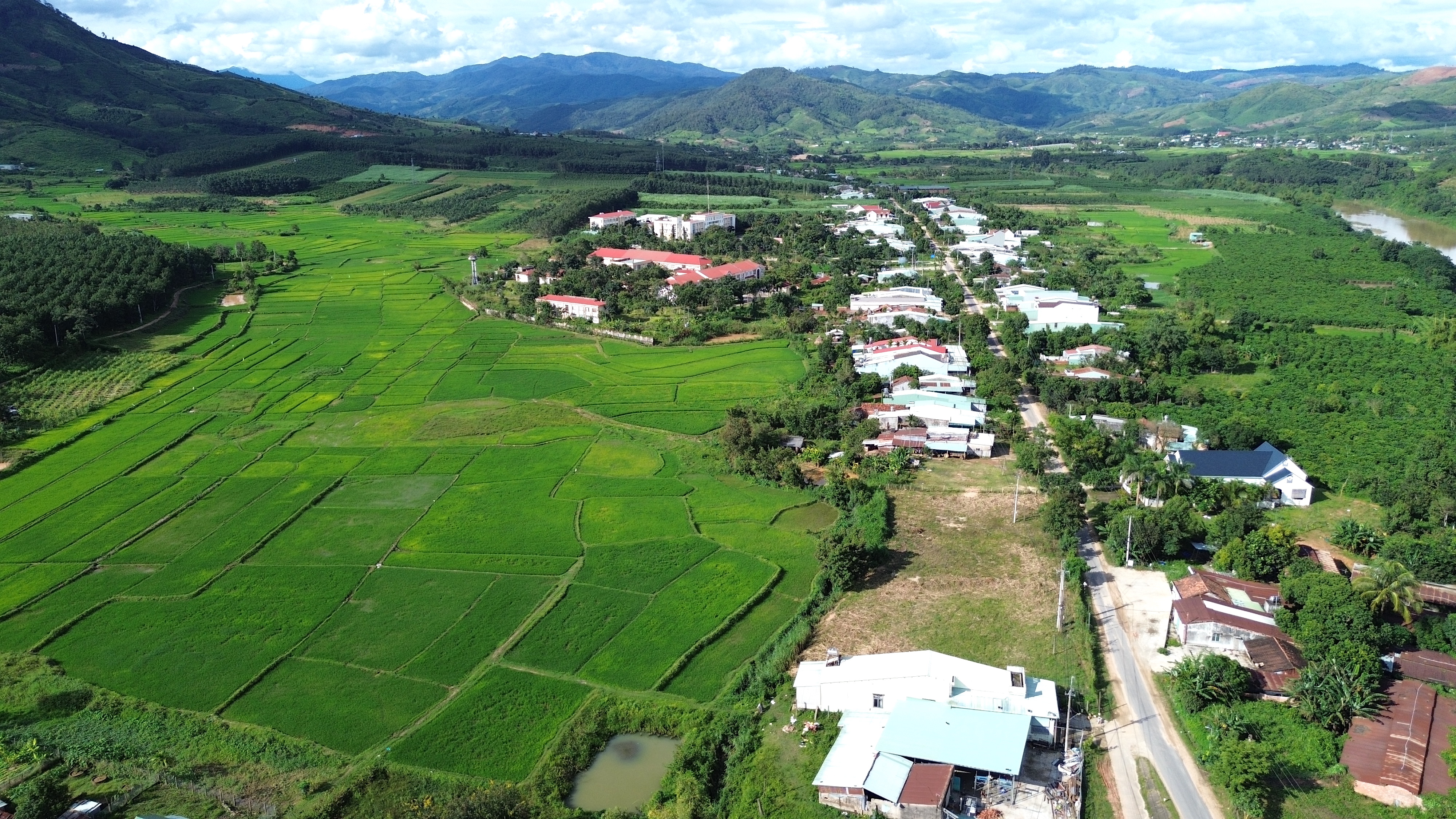 Quảng Ng&atilde;i: Gần 400 tỷ đồng n&acirc;ng cấp hơn 18km đường khu vực bi&ecirc;n giới- Ảnh 2.